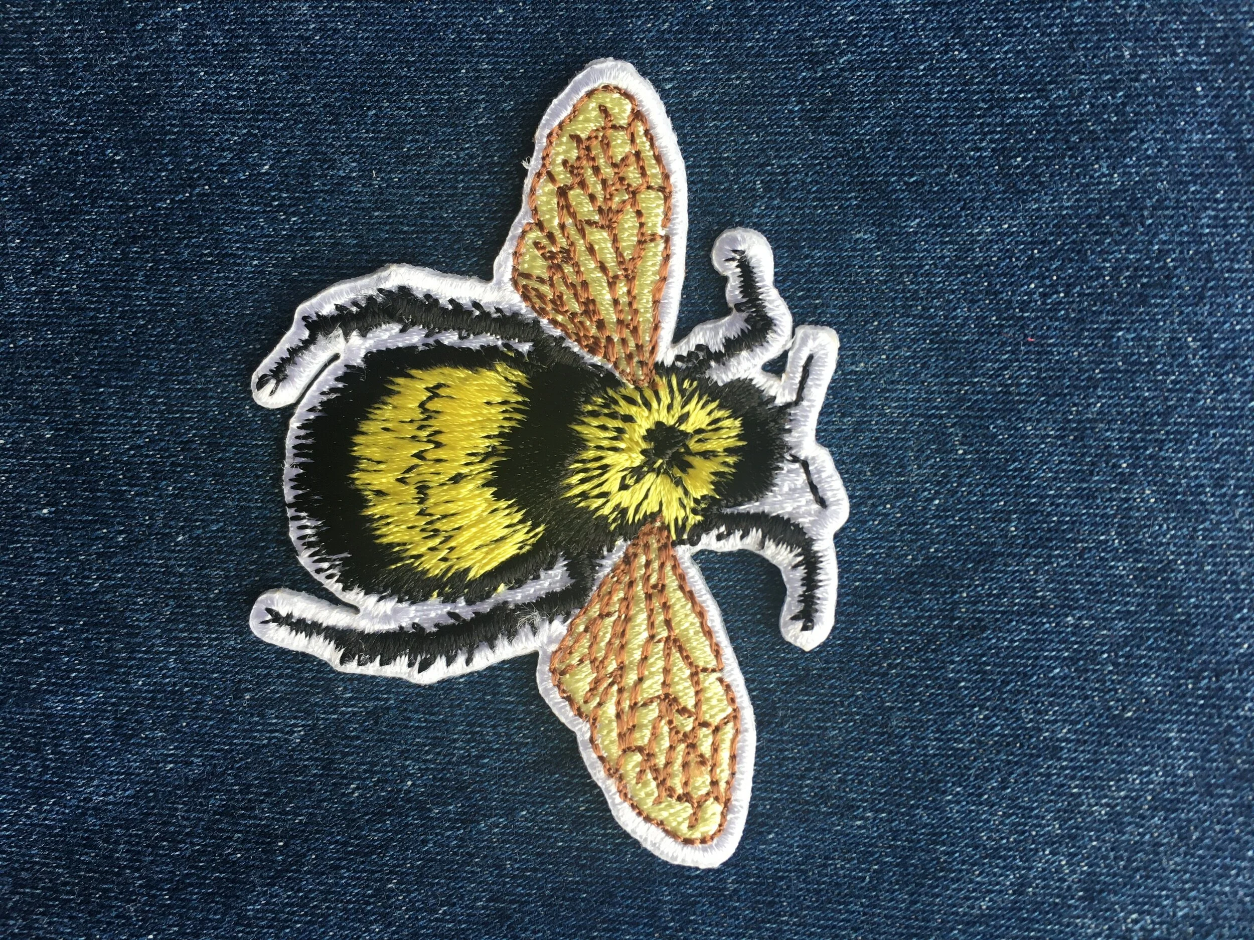 319DEE3B-0B1F-4B86-857A-84DF5B596525