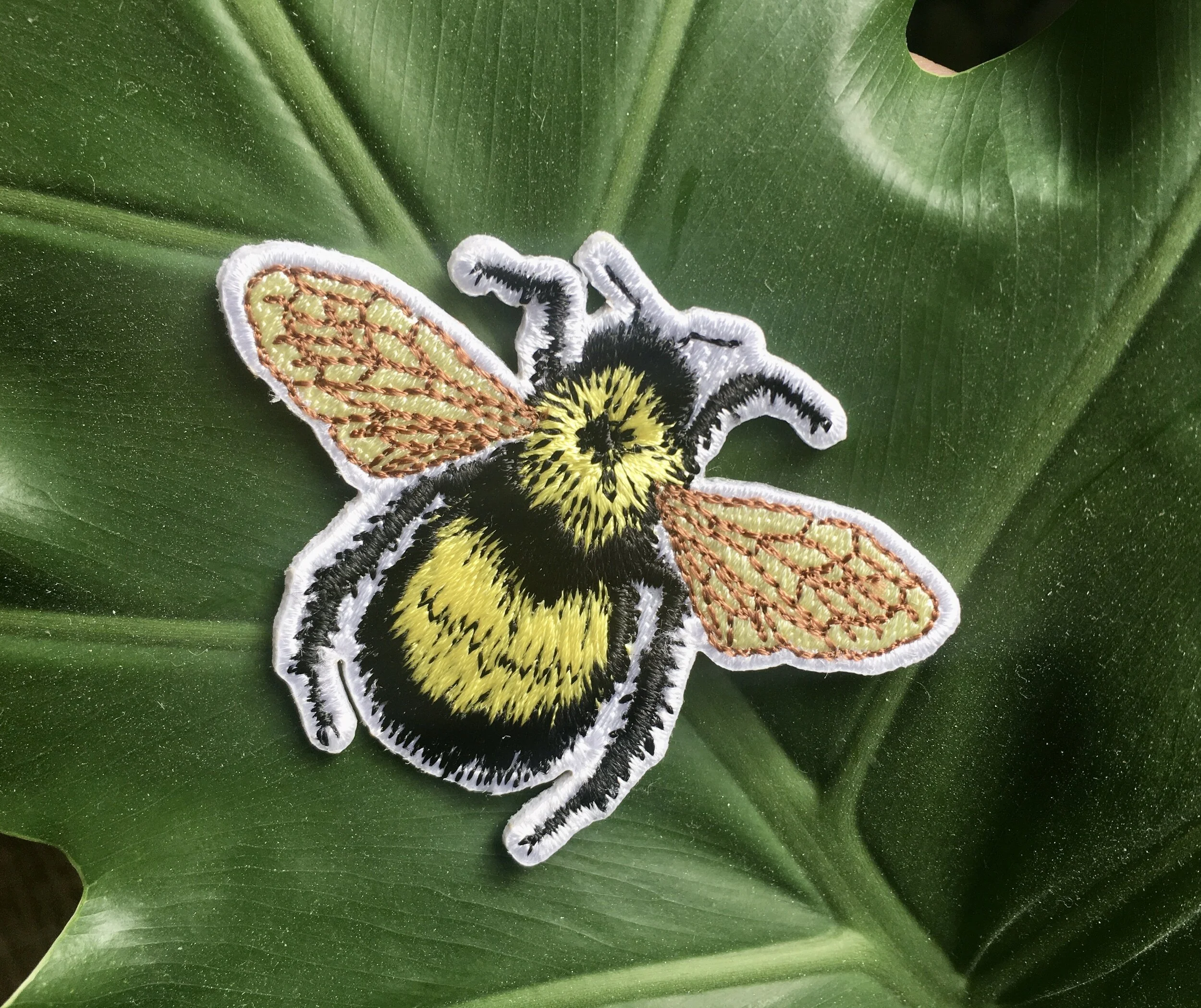 15488776-5583-43BC-B456-BD2FAA9FE419