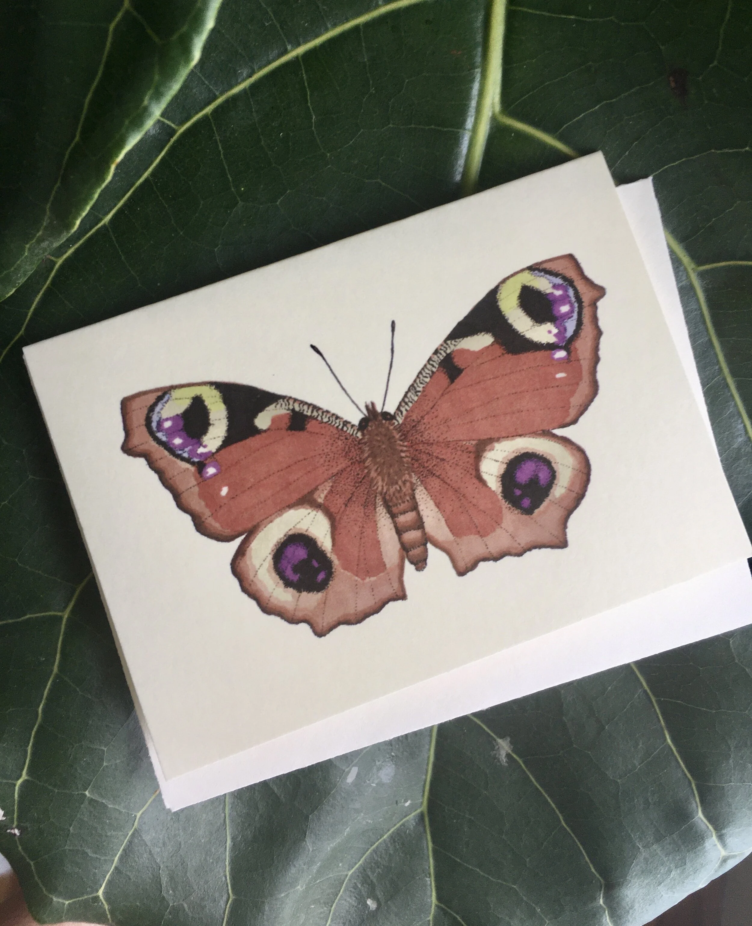 BB8C2CB1-32E6-4E5B-8550-94E1E3C7C3AC