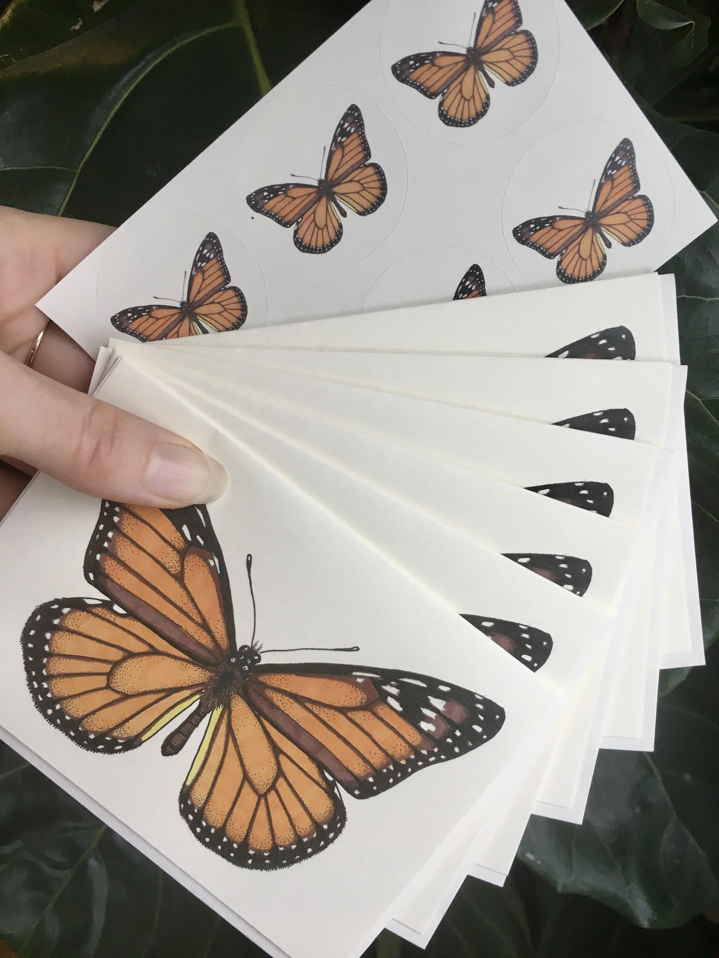 4E439567-34A6-42F0-885C-B8D4BF7C2176