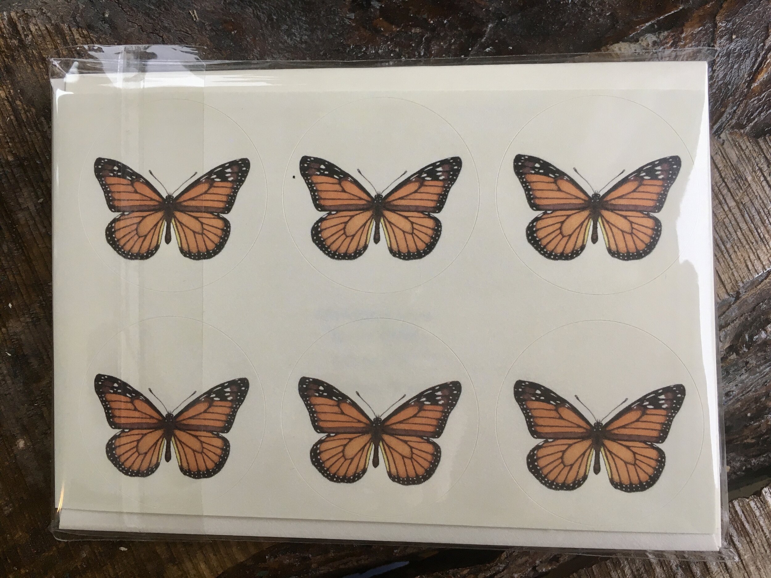 A21DED34-4D93-437A-B26A-295A427AB186