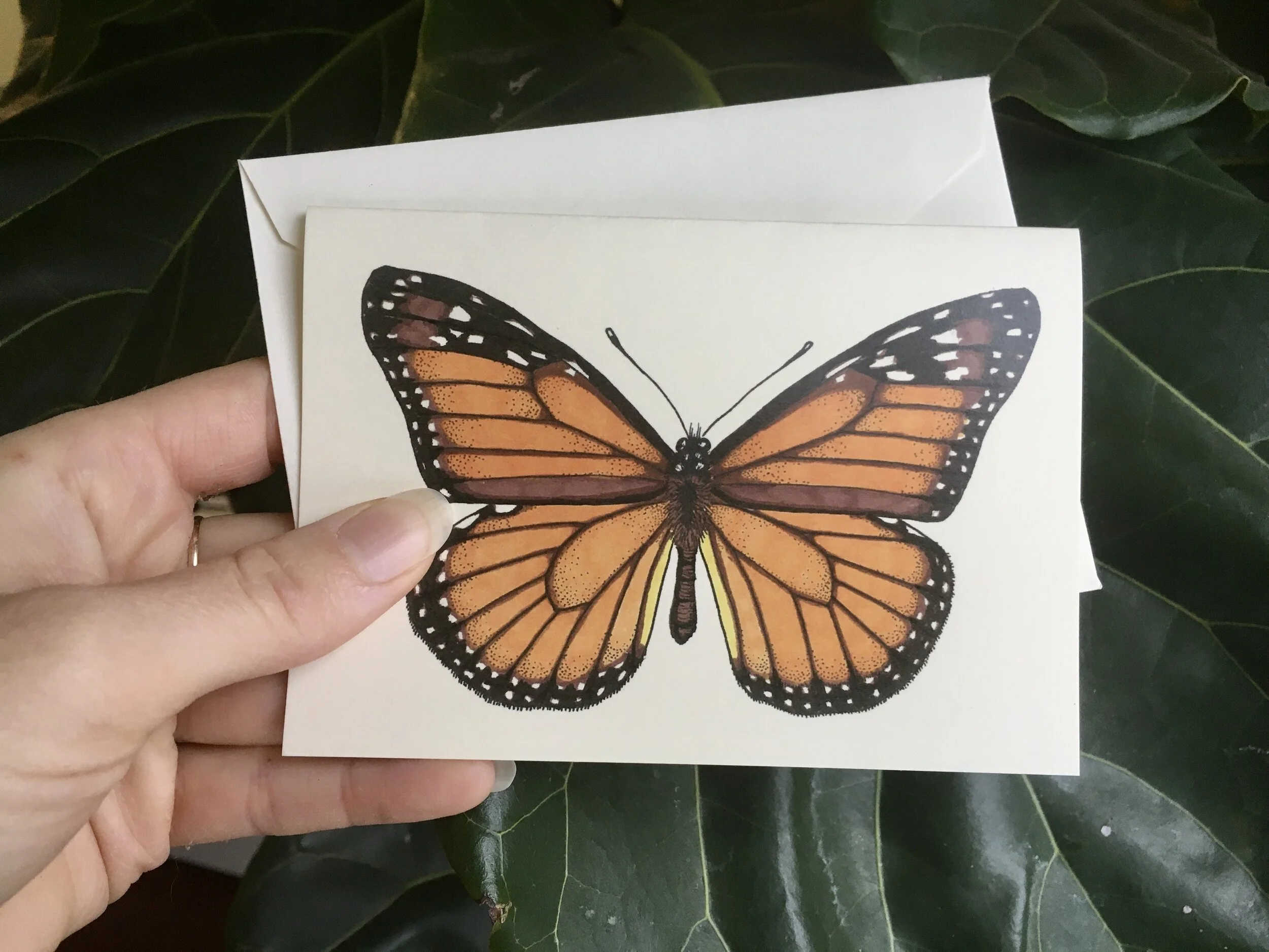 AD866B5C-F17C-4420-B5DF-265EAFB552B5