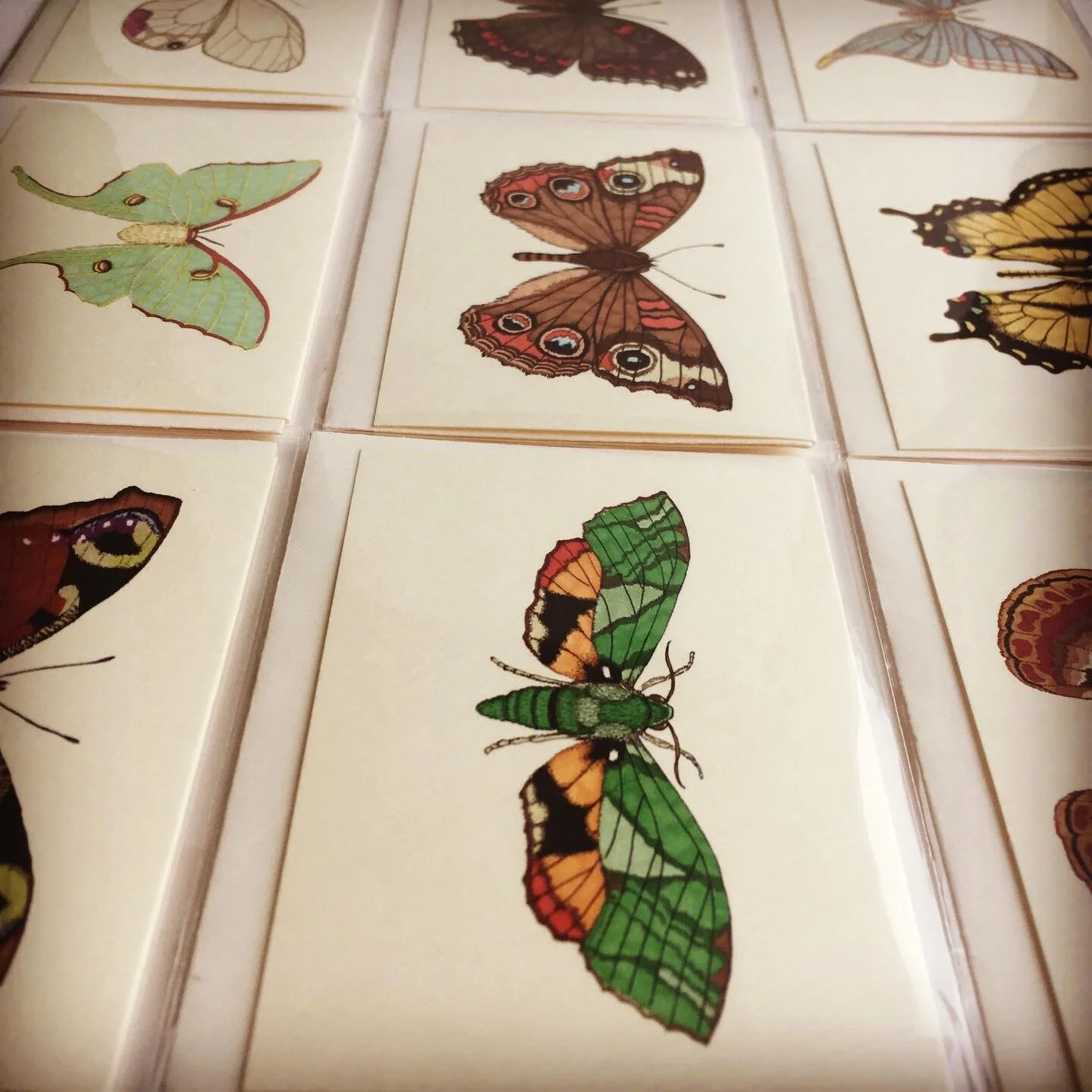 F4BD9640-131C-4132-A677-8D484B97CC2F