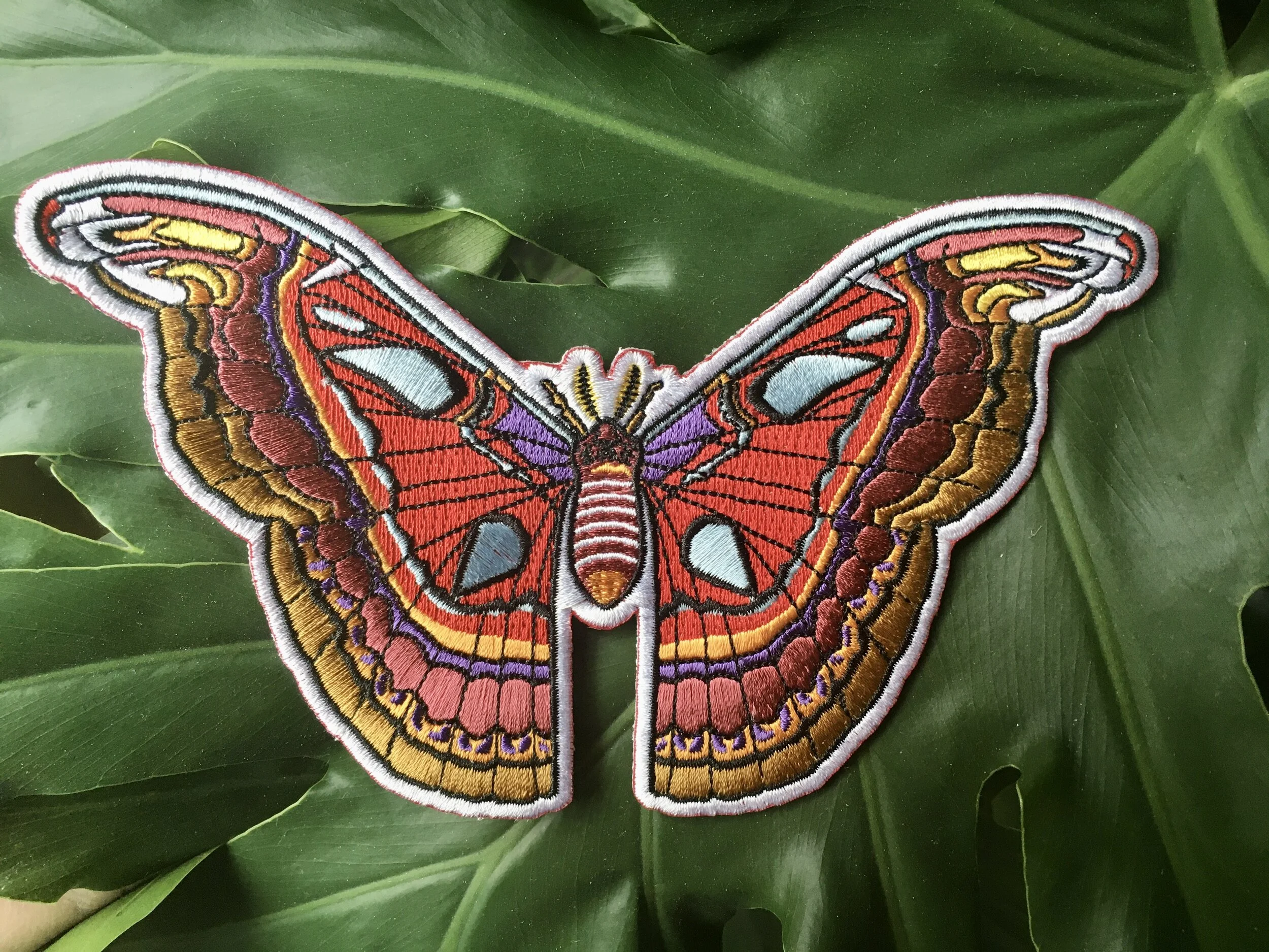 D6190F80-2A16-4786-BCE0-29CF79A2622C