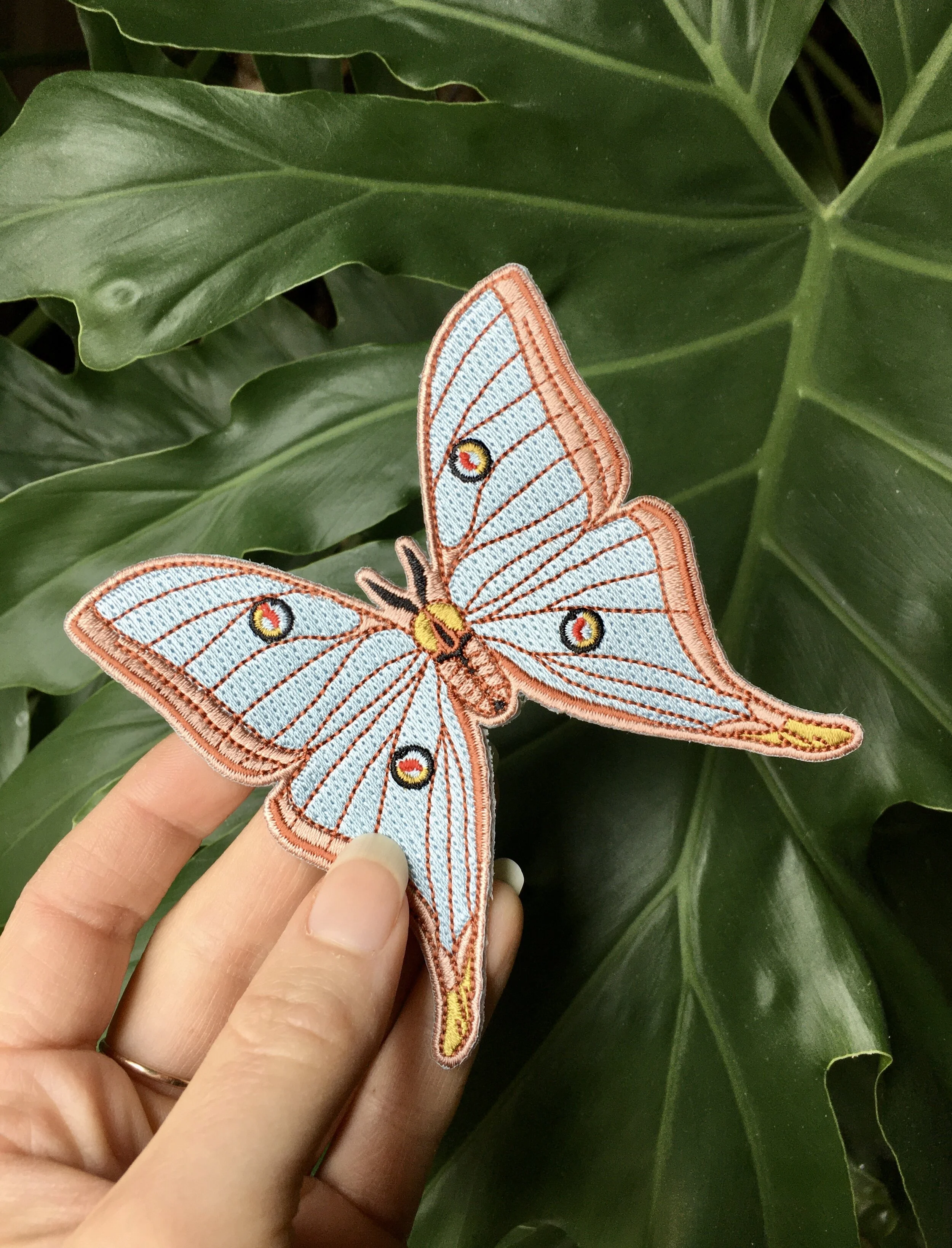 70A1FEBD-3DCB-4BAE-91C1-323C618F322A