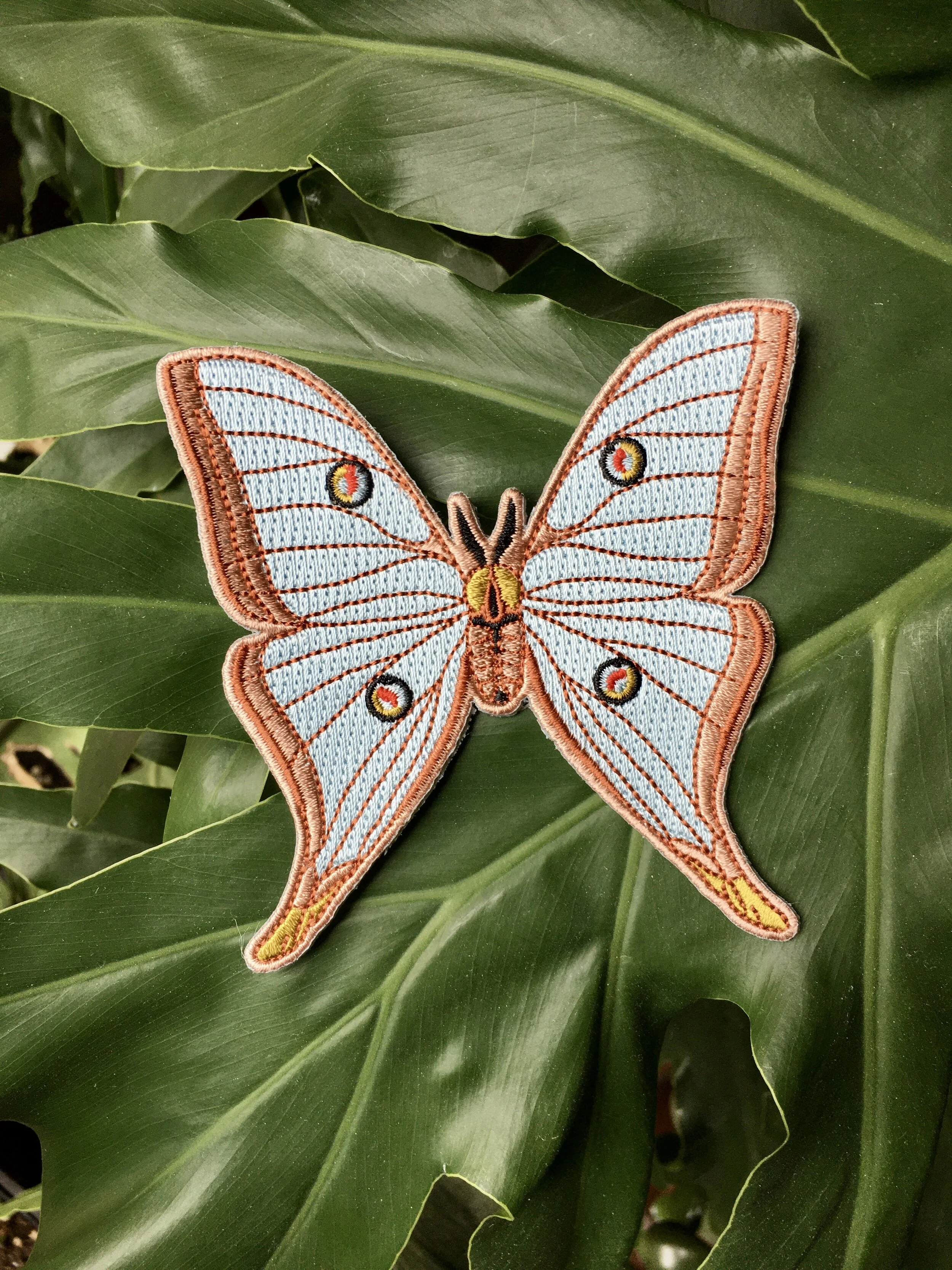 24B9BA9F-0D53-4DC7-9F80-FD128A888A2F