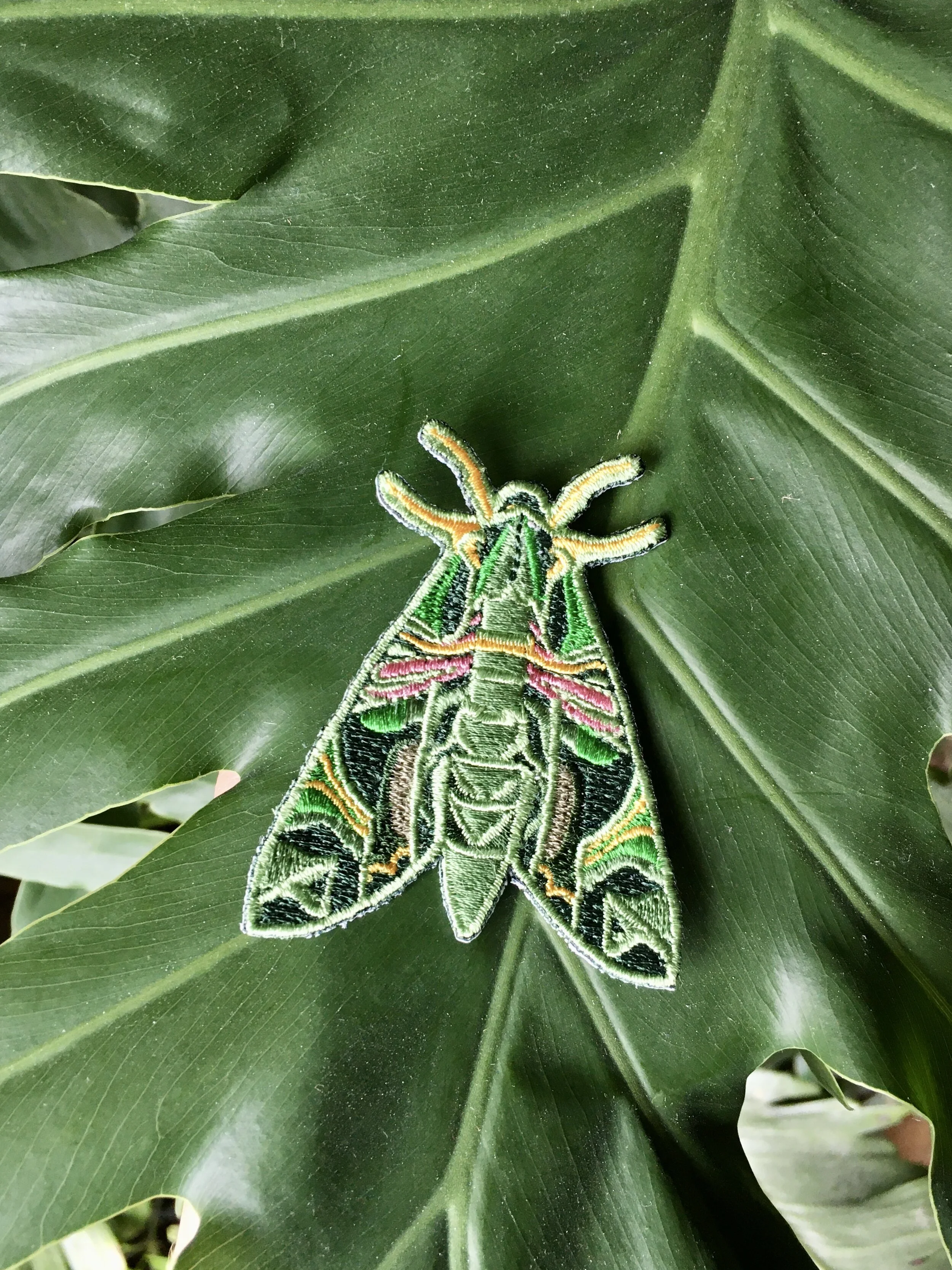 50D85A0D-FAC9-43CD-B0C4-327007165C2B