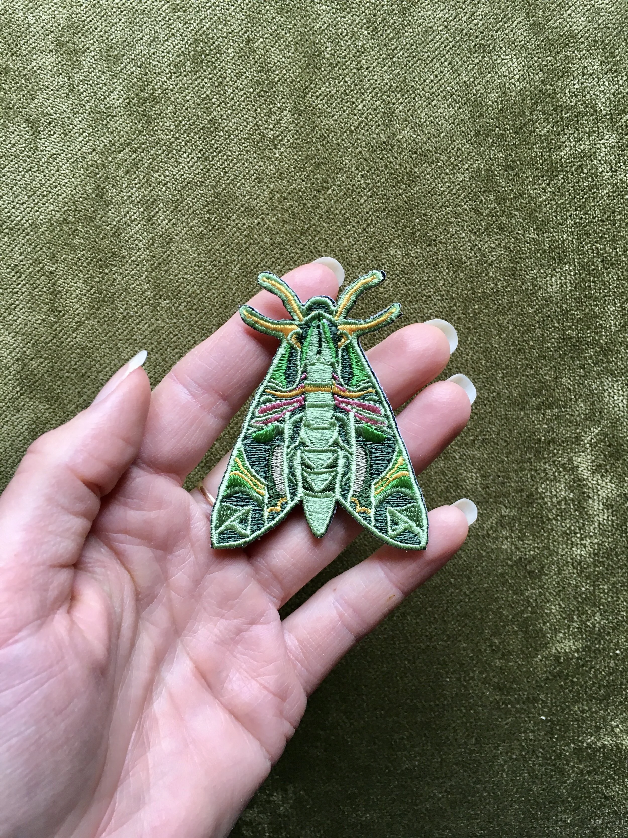 6D3AA4E9-F467-4846-BA48-98F720BA5BAF