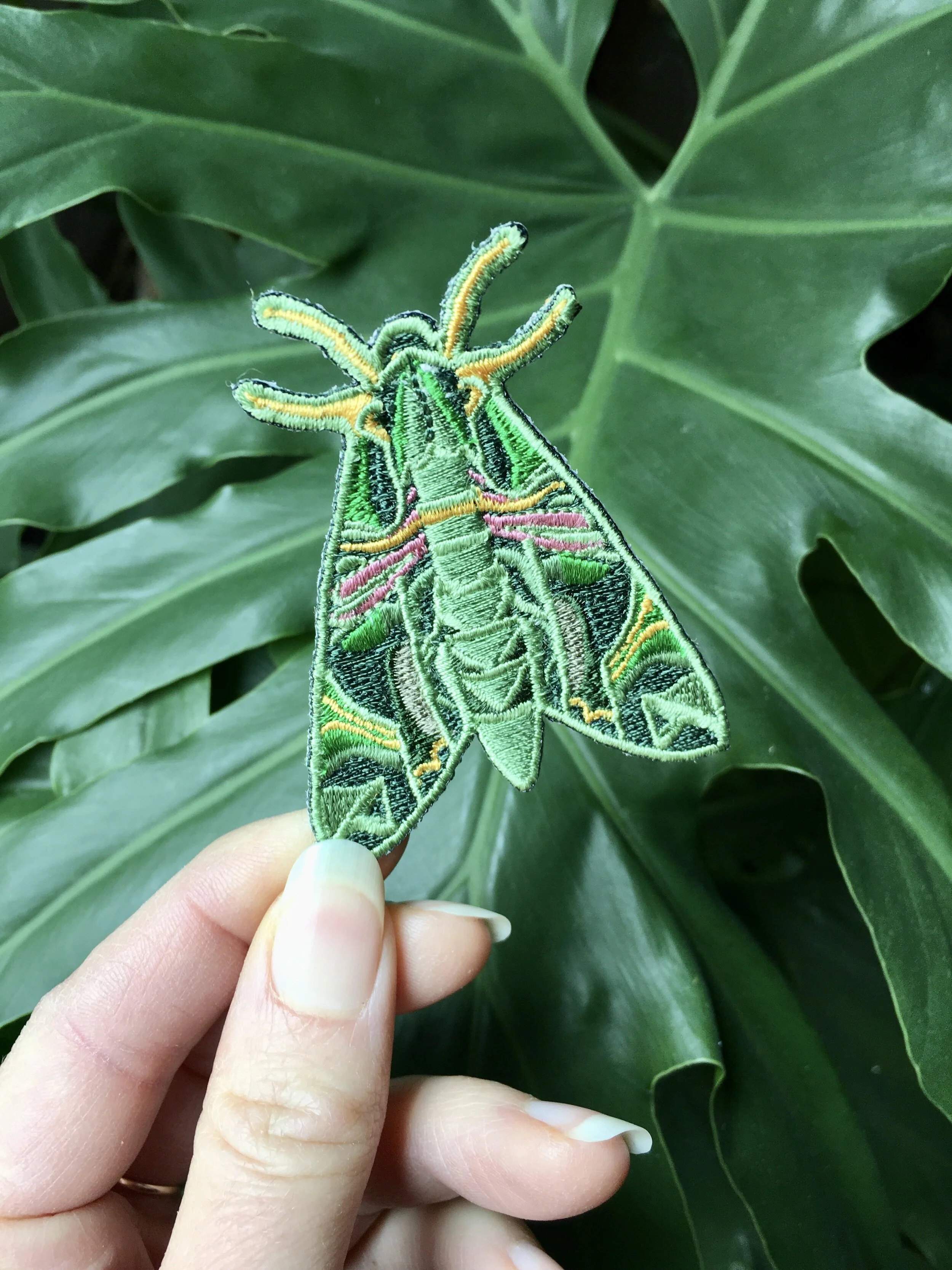 935A4E9E-EC0E-4EF5-BCEB-A0CDFACE0036