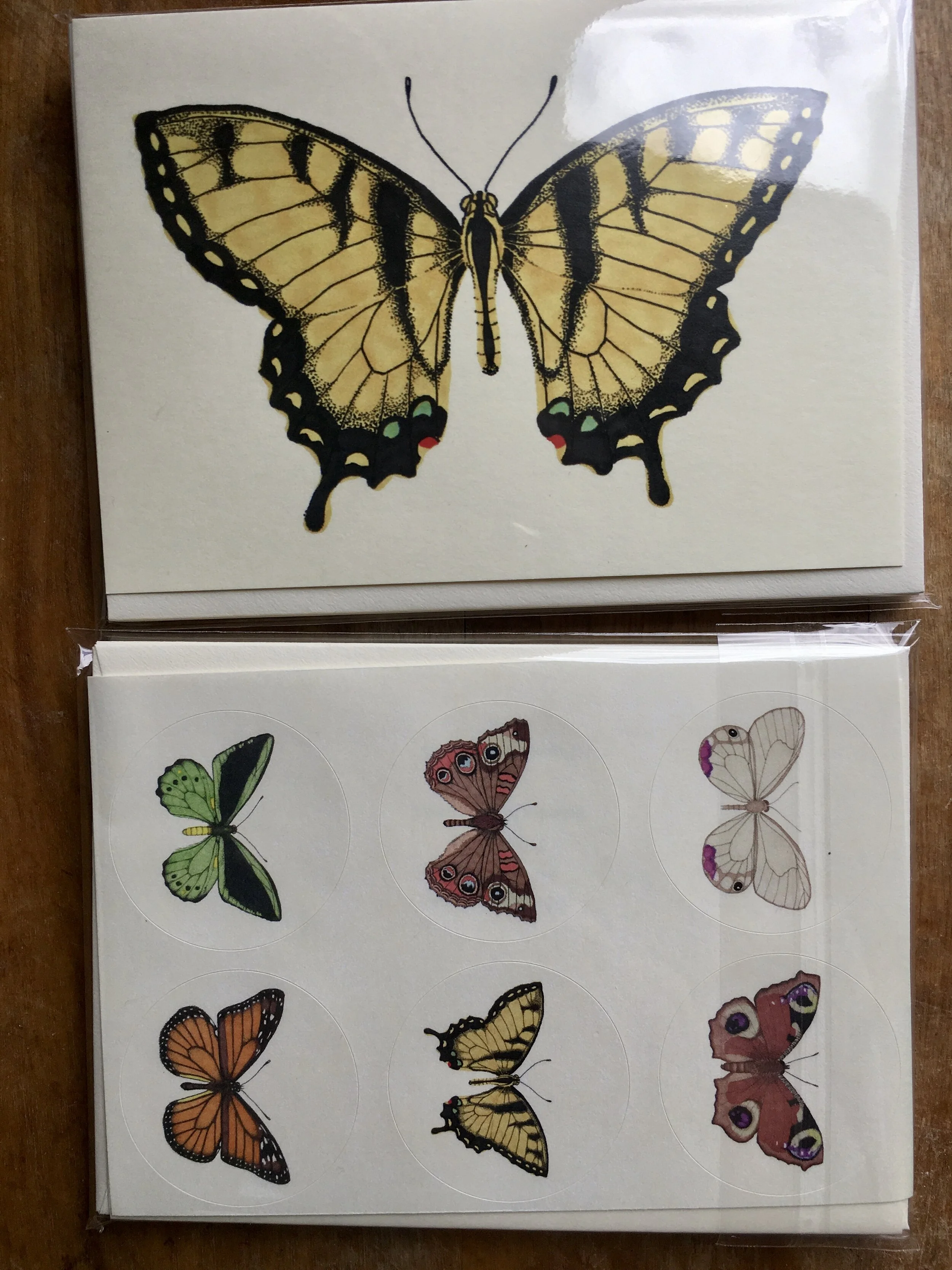 EE3CE668-1BF8-436E-B794-930DE719F828