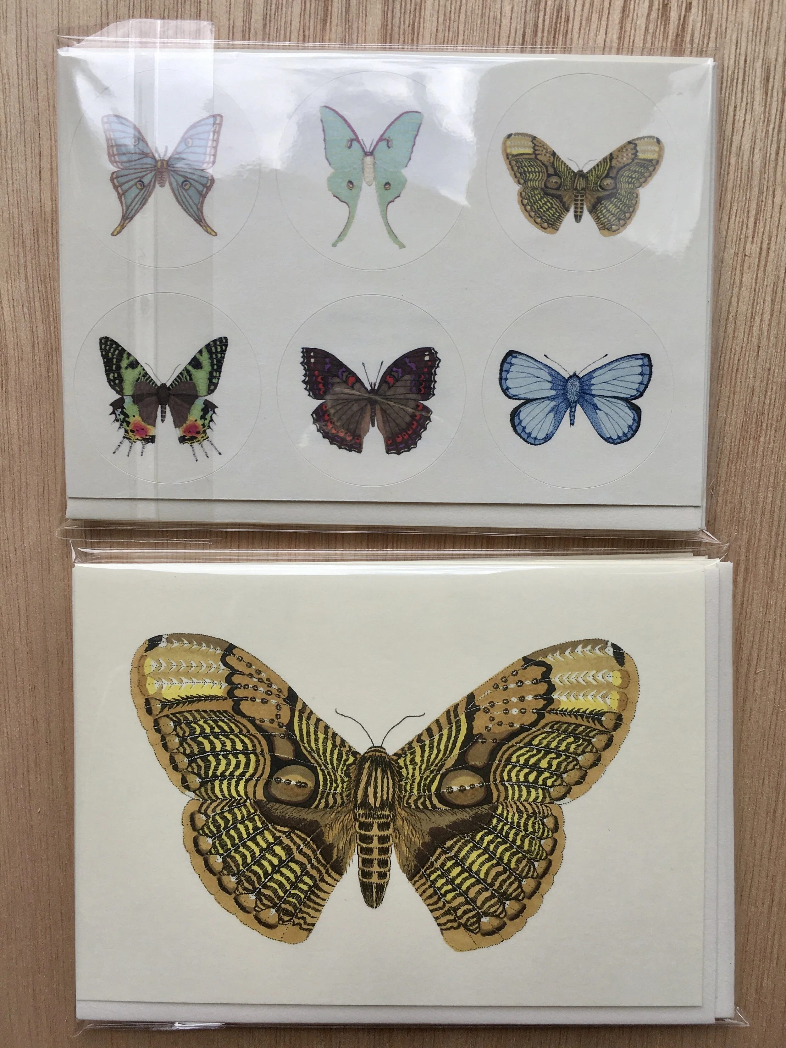 B6B296DA-7F4E-431B-9E87-1B3966BC298C