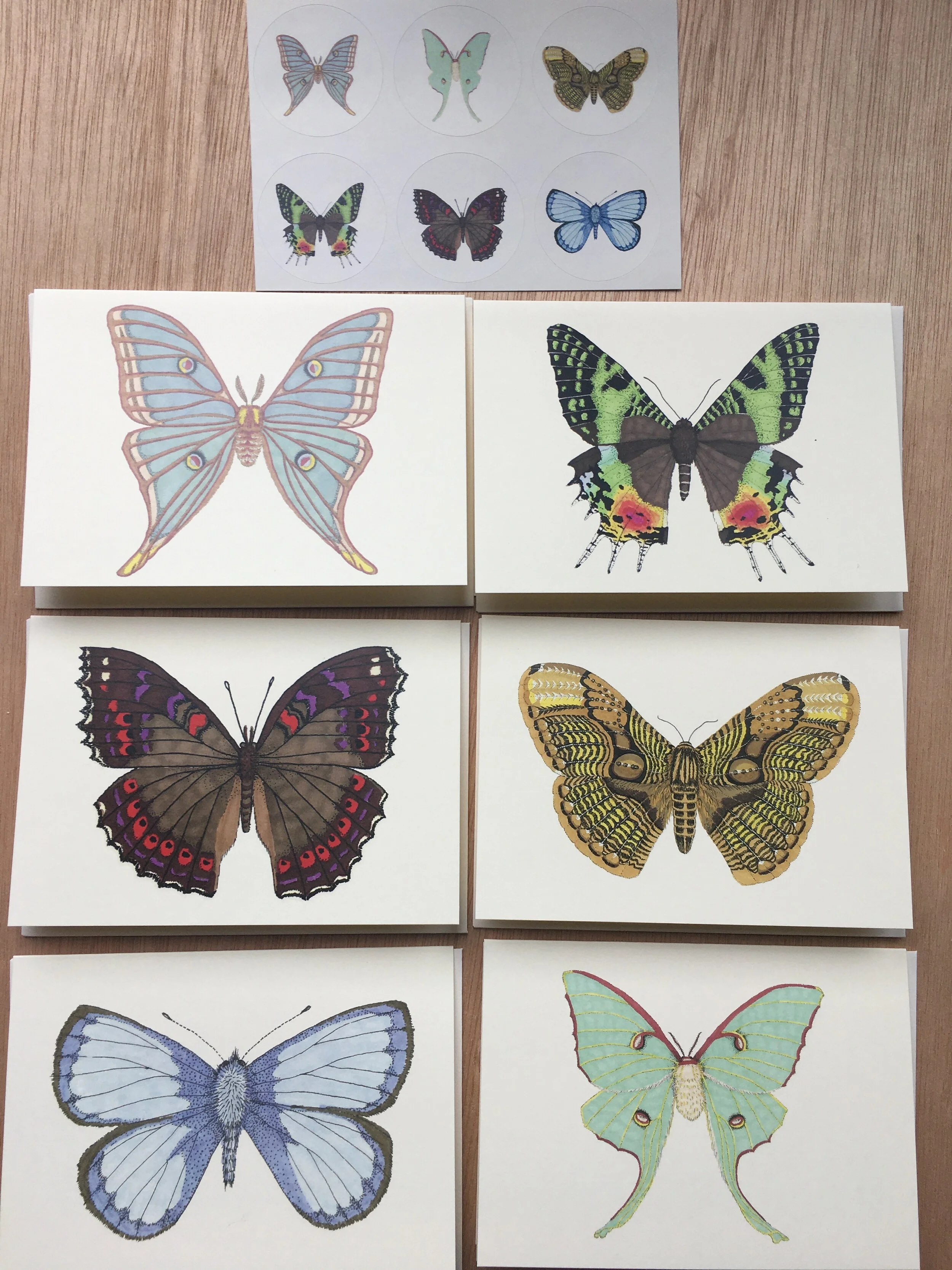 CB388CEB-9C1A-4825-8CC9-ACA5F80F5F05