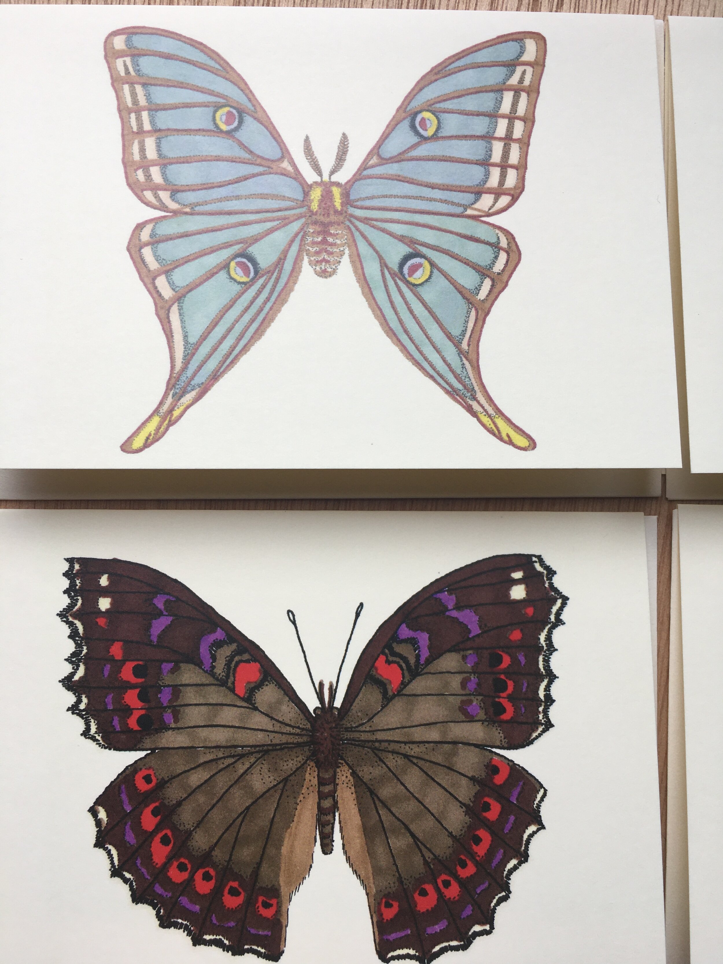 42E23CBE-C7B3-4D8C-84D4-2198A992B19B