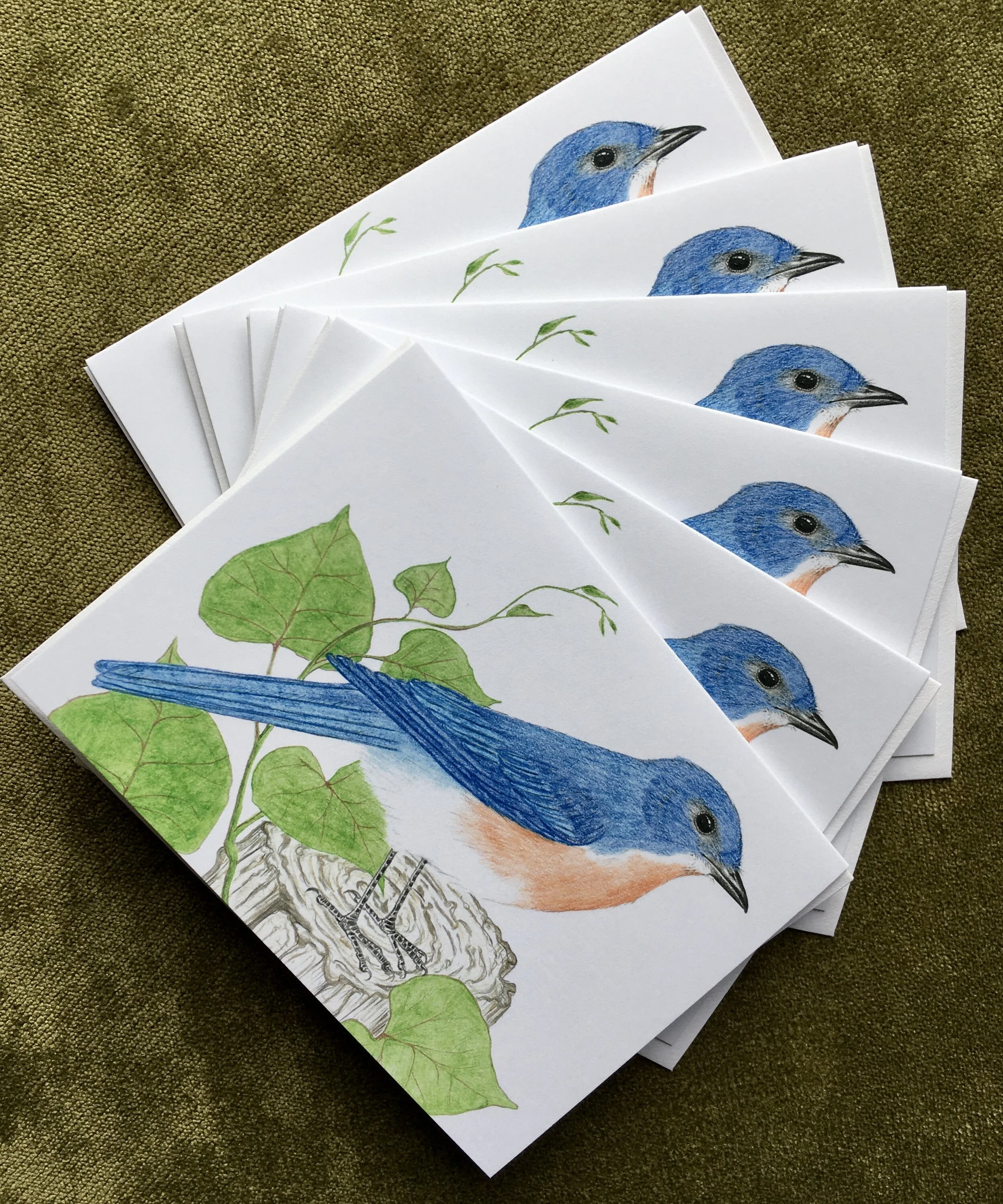 70431384-9C50-42A9-B4A8-BF0972A2C3D6