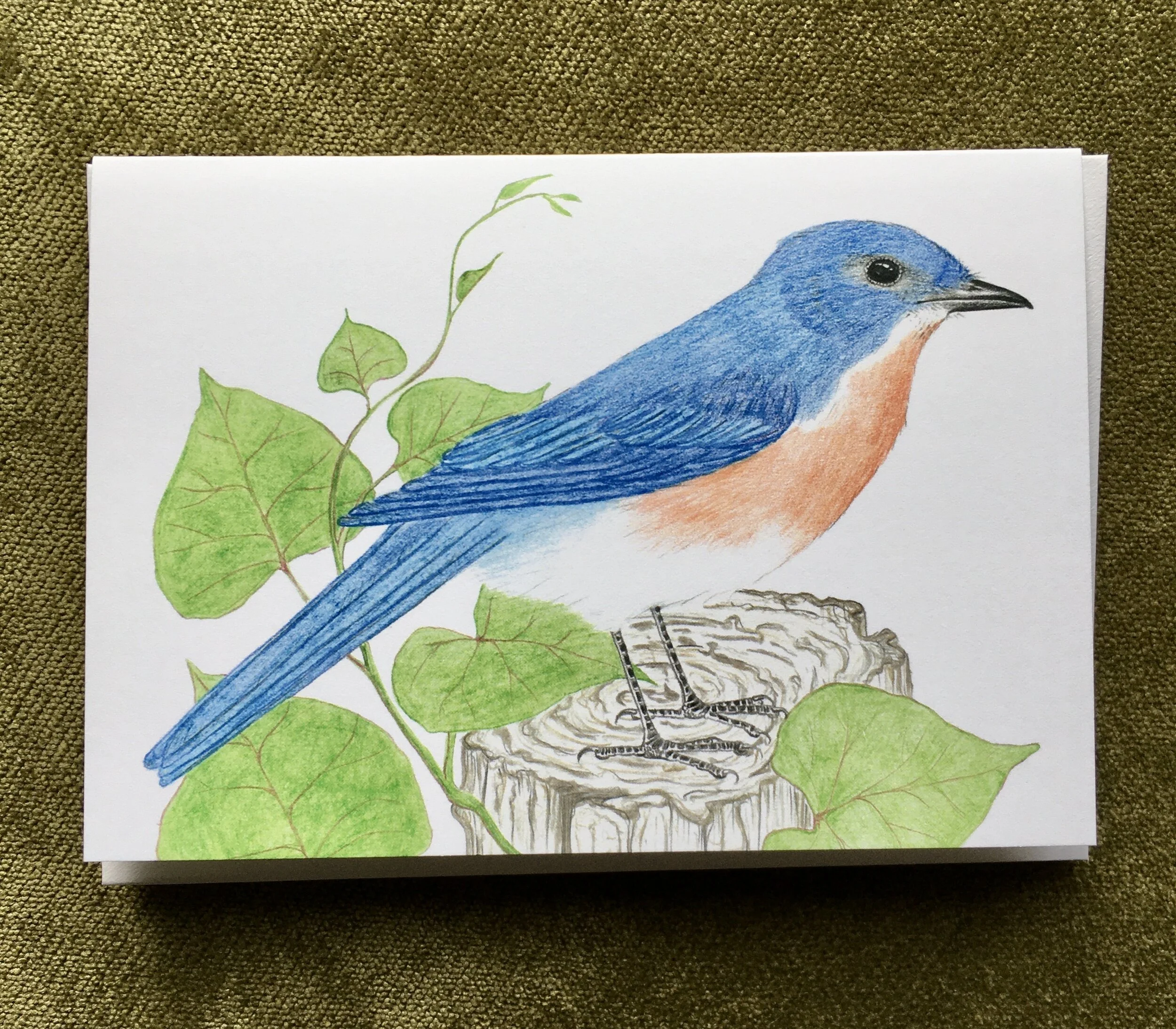 39DA37B8-BE8F-486D-88DF-65B42389737D