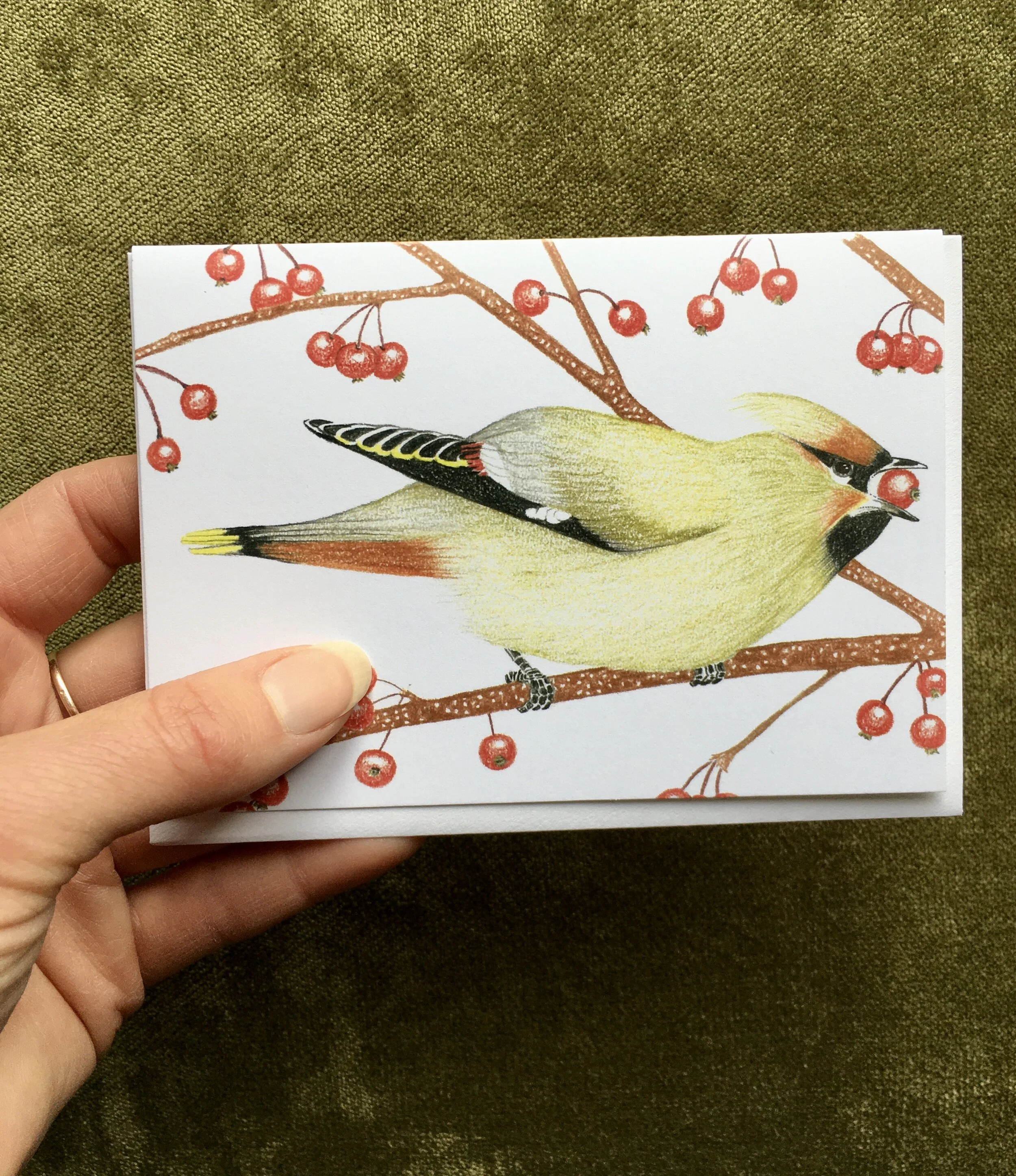 FB45092C-B85D-4833-889D-EFD1AF40A119