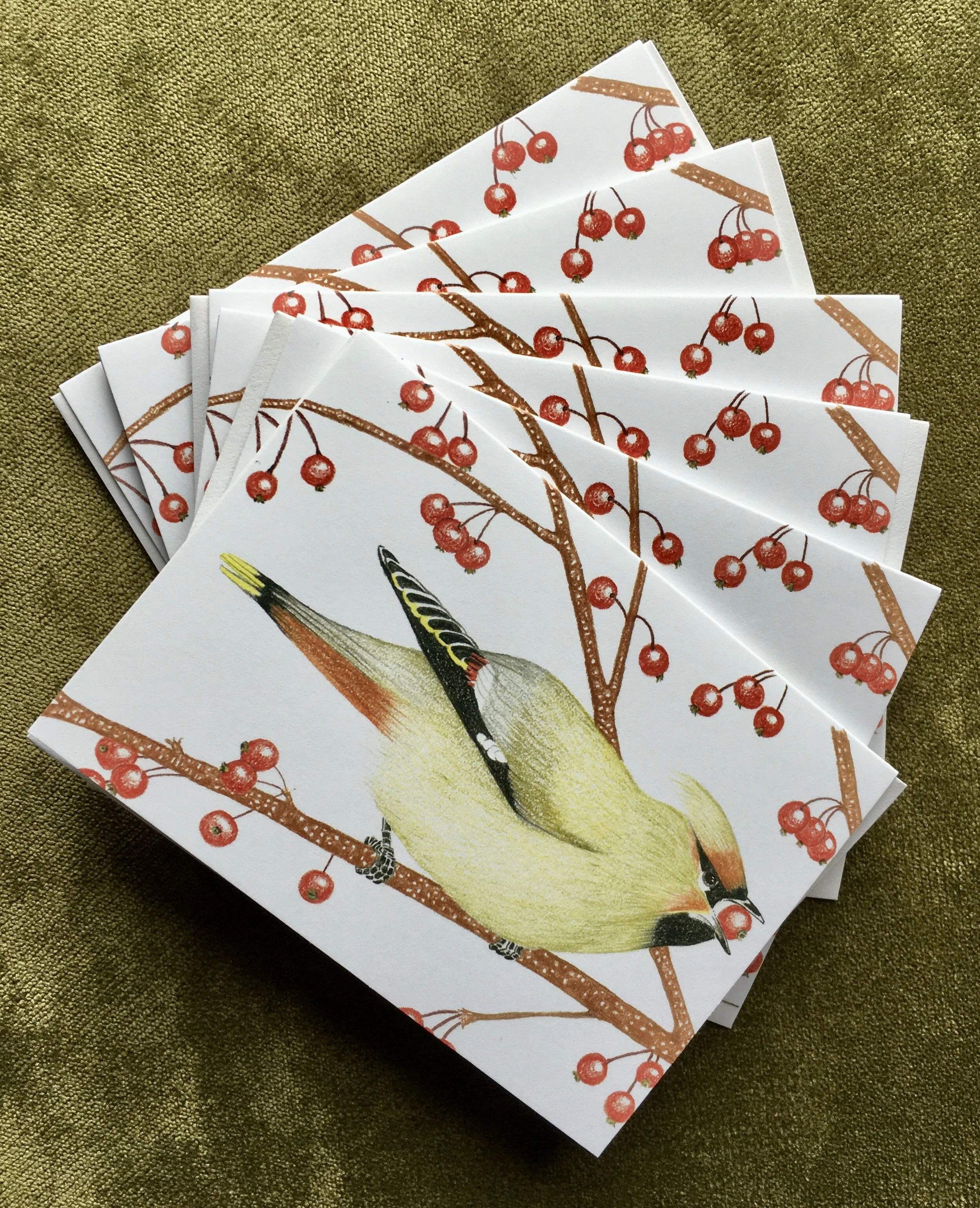 2F73B26A-34C8-4421-9F19-6DF9690C48FF