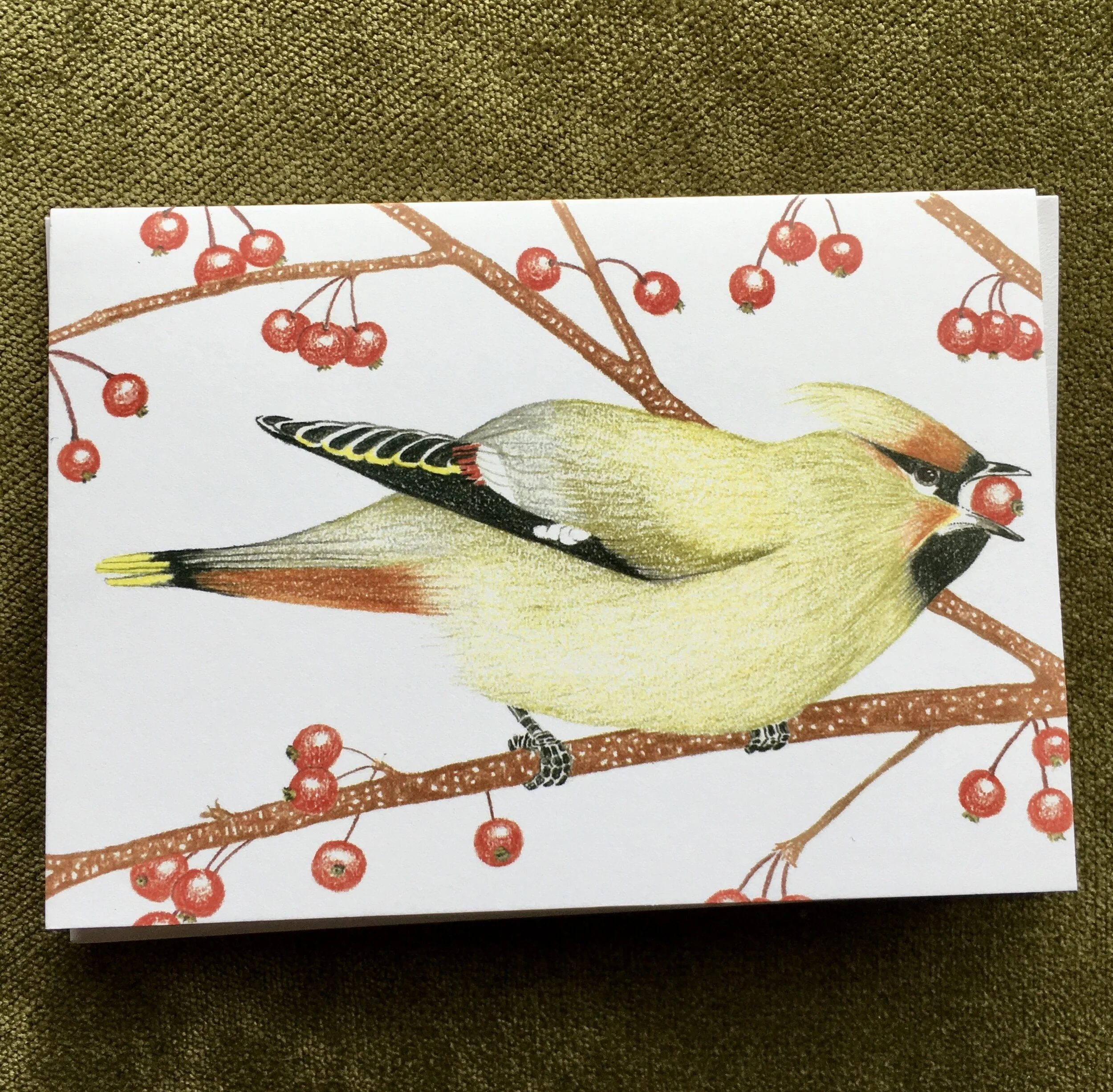 FC10B681-C536-48B1-8997-445D0636B86B