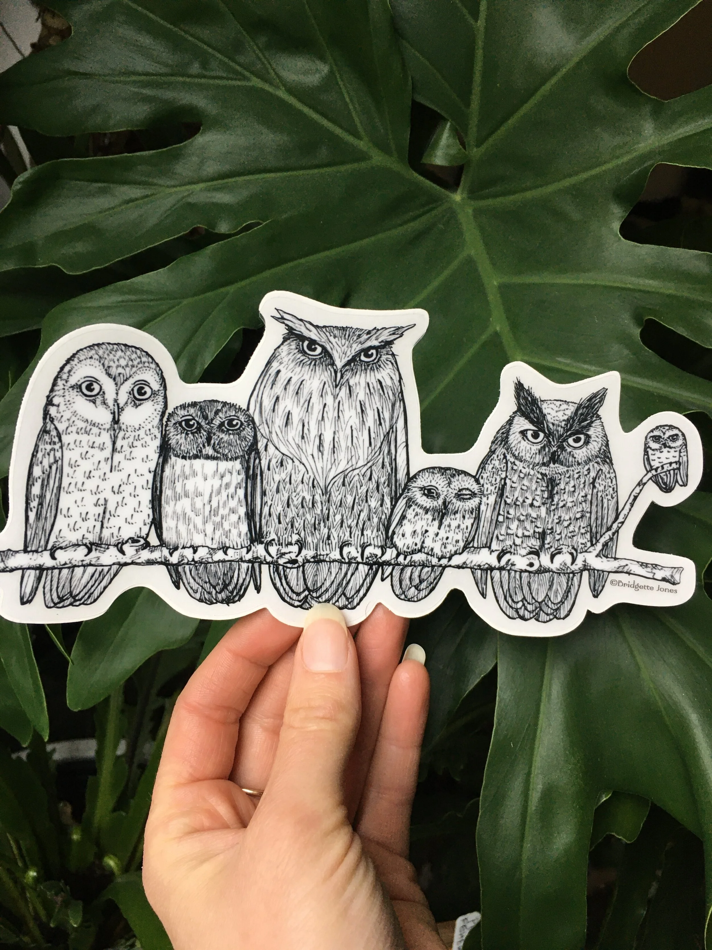 E309D46D-1CE7-4A6B-B4AB-0A5EE71A2E75