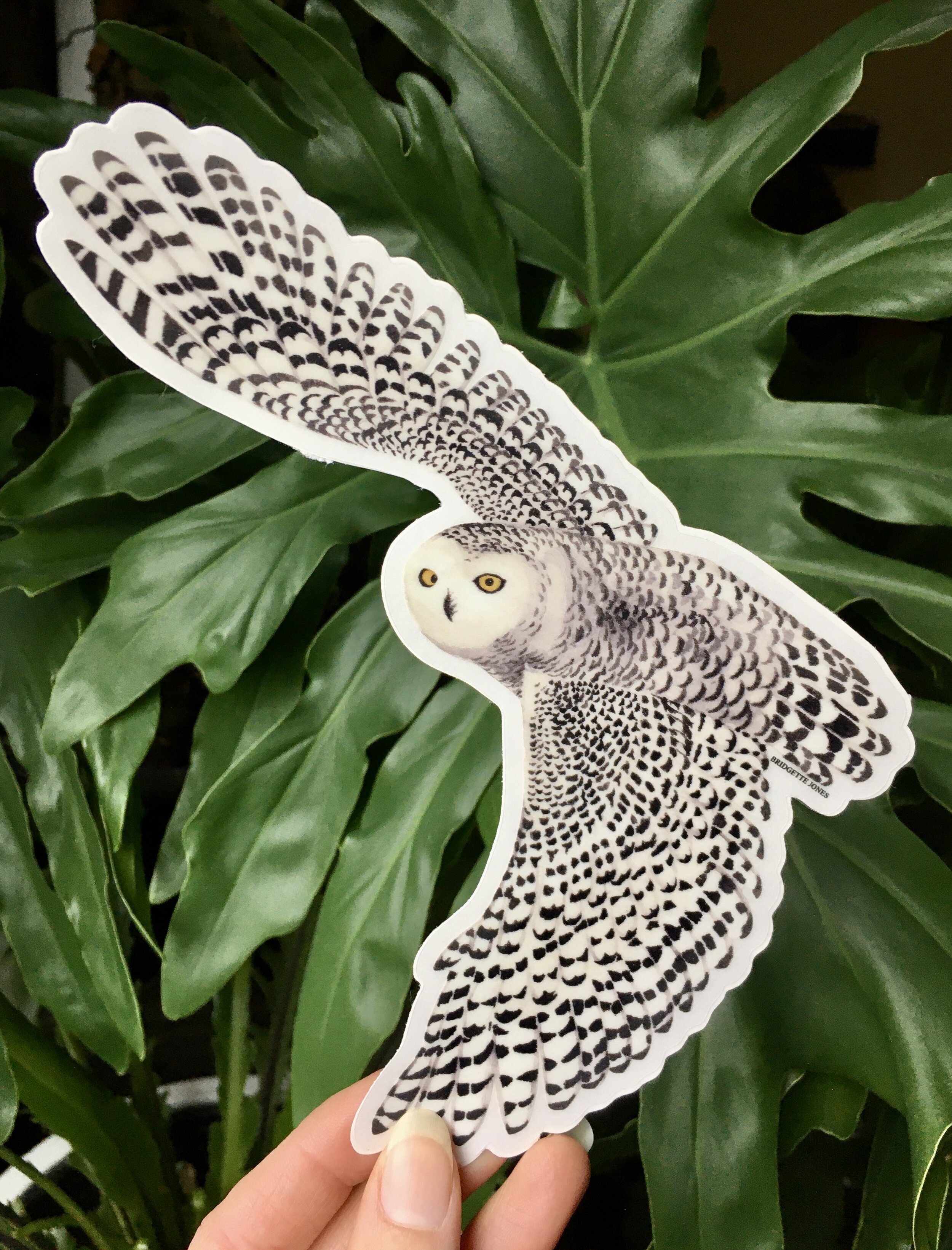 DFD068ED-E75C-4006-AD27-8A3BAA320163