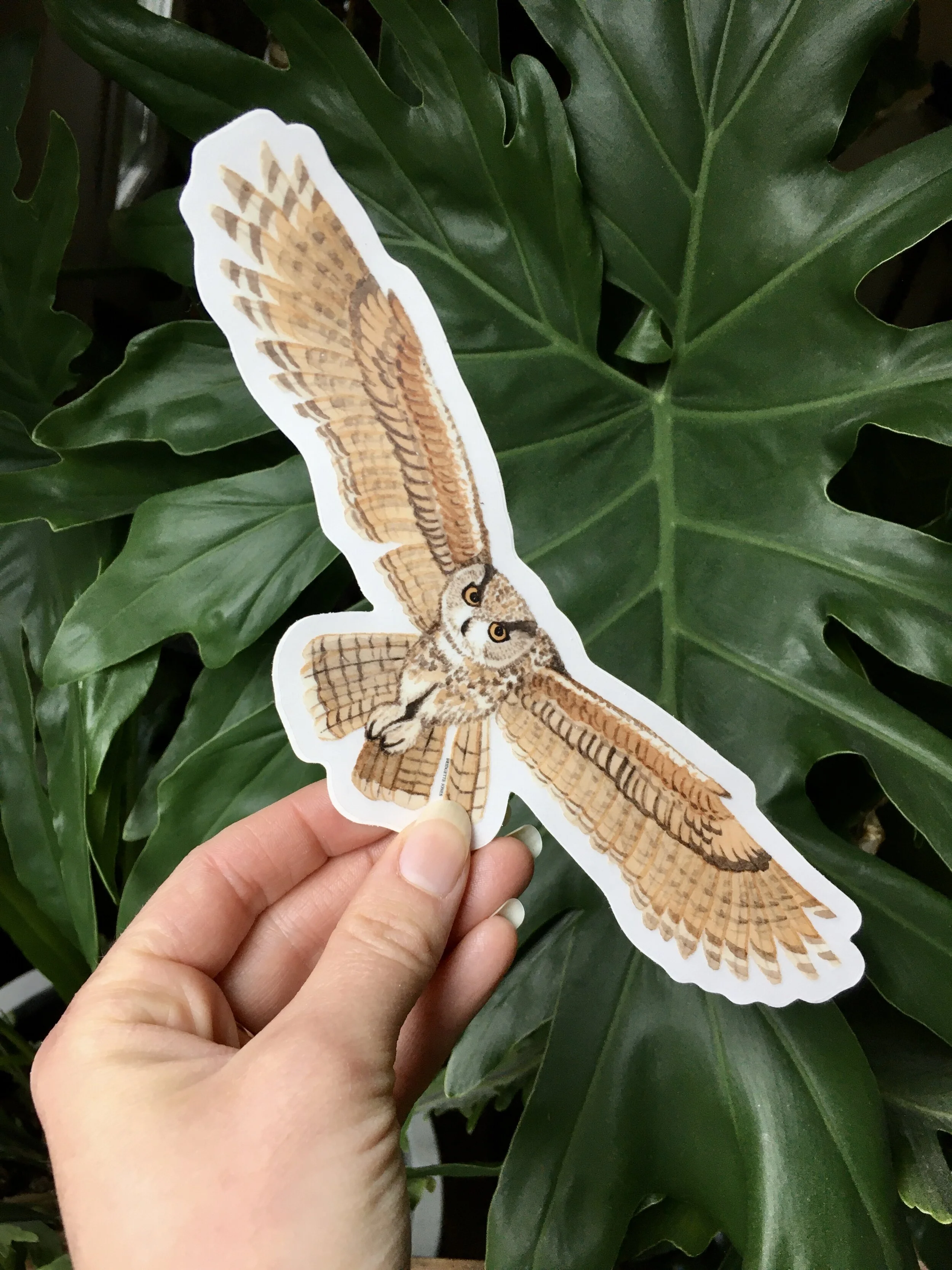 778F3748-8566-4D14-8075-FC33E471F990