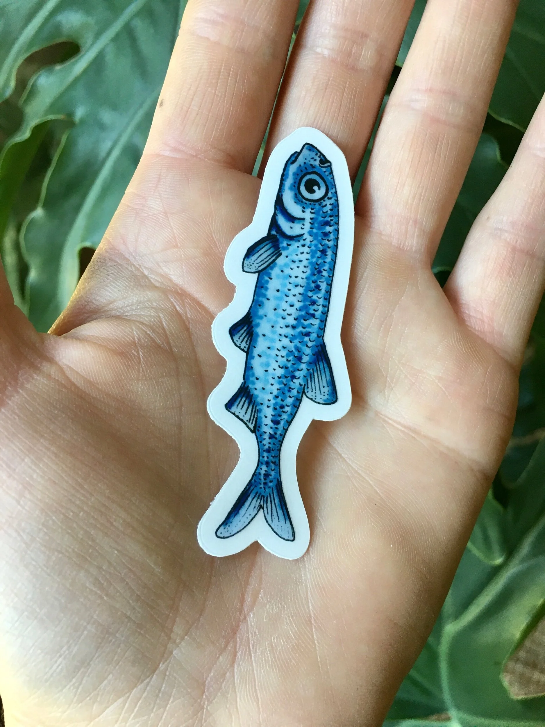 455F1BDD-2446-4C9B-866F-1EA3B2A4747B