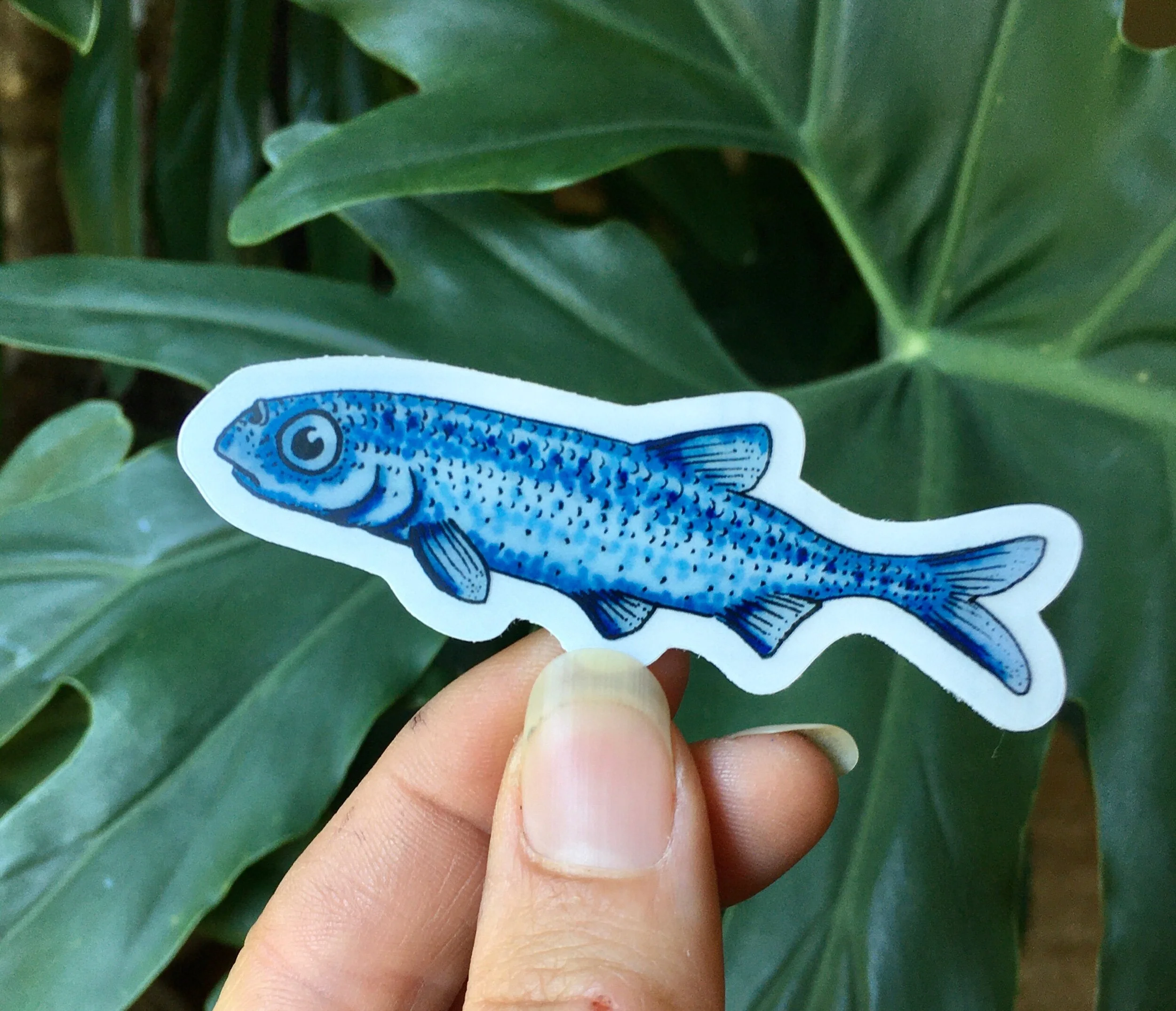 72E3E510-823B-4D96-92B0-74ACBF8A4A14