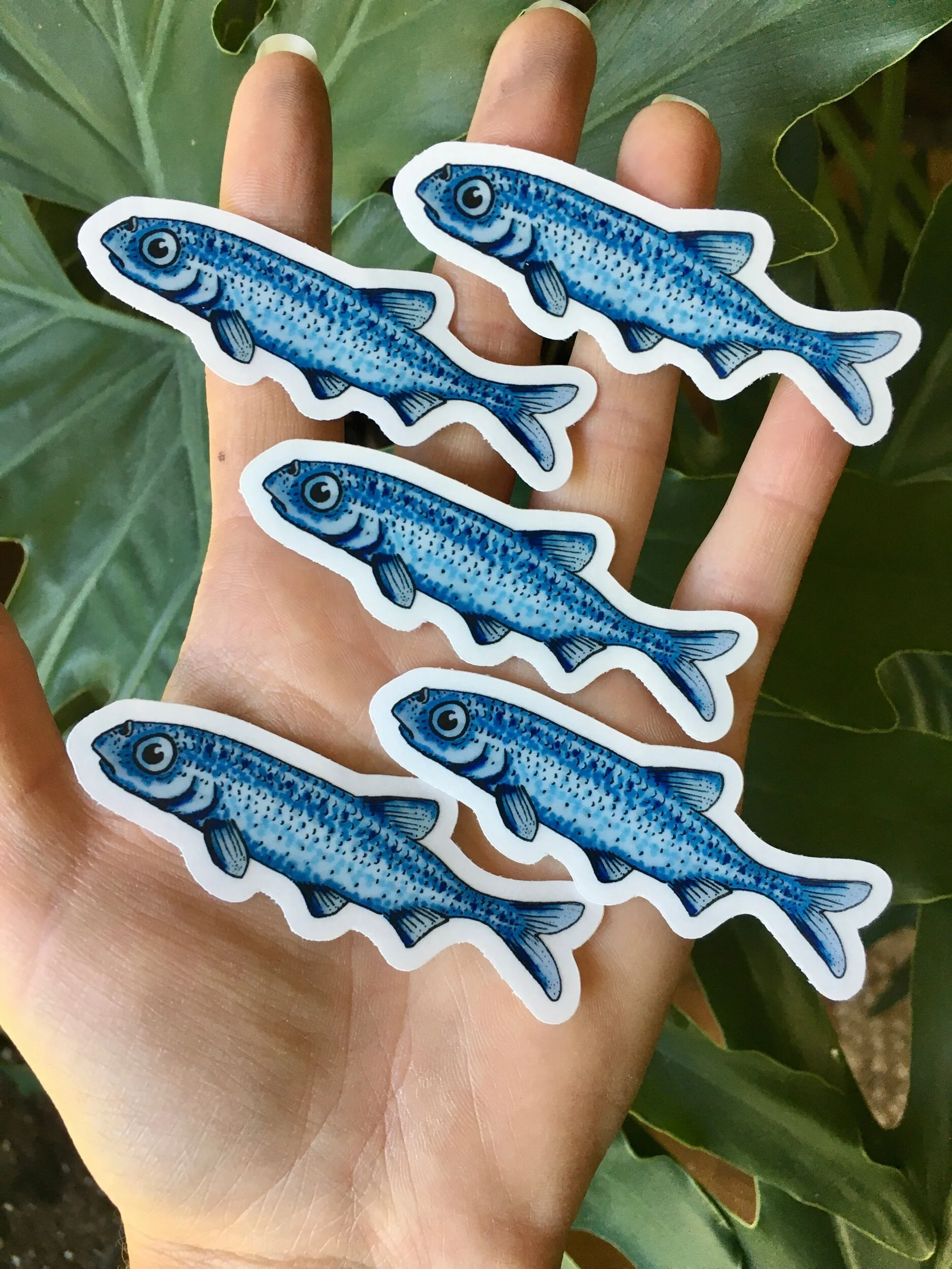 F5CE2246-5459-4075-BAD8-598DA82D7610