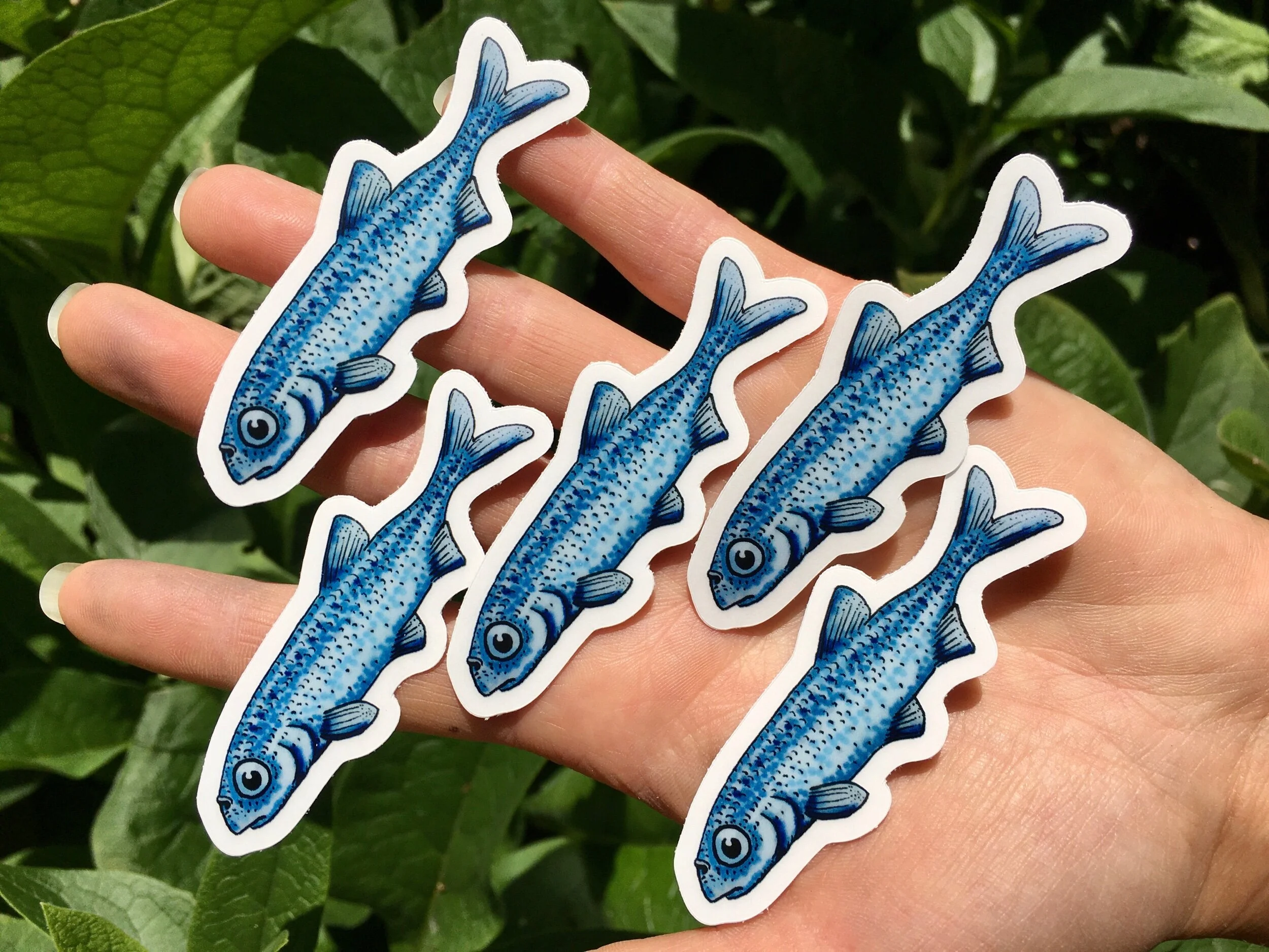 EB945F75-AA4E-41EA-8189-11695B861409