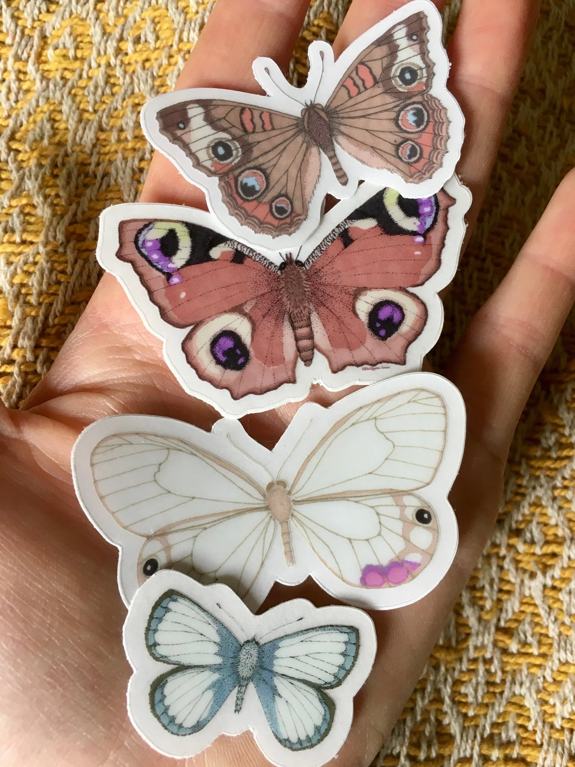 EDDA4EF9-244A-4944-ABD6-F8D708111171