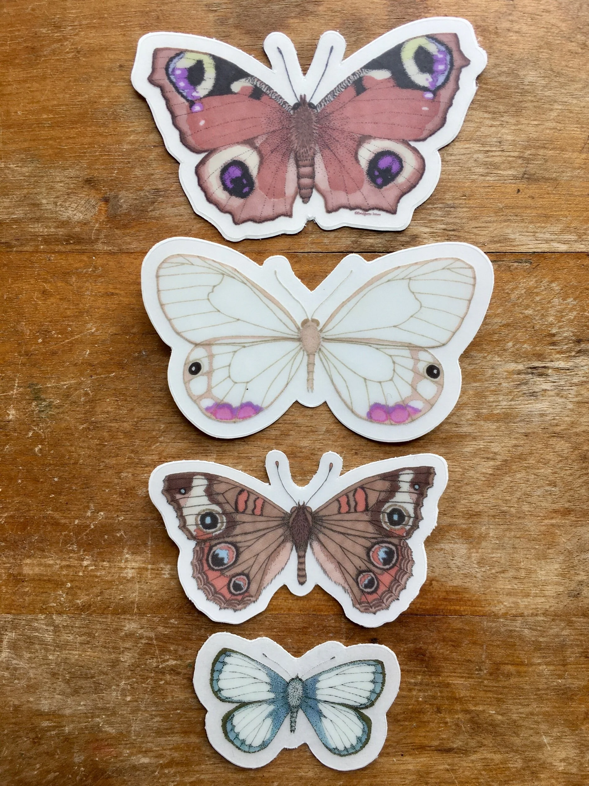 9DFF1462-5418-4472-A88F-208274BD2D56