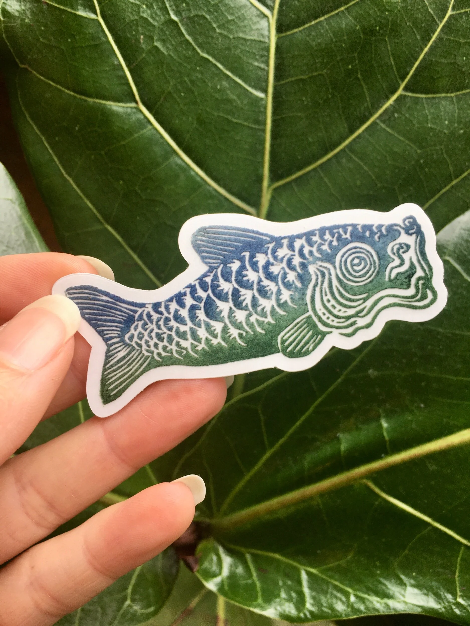 D7CA5305-4C88-4DA0-B120-83314F411DD3