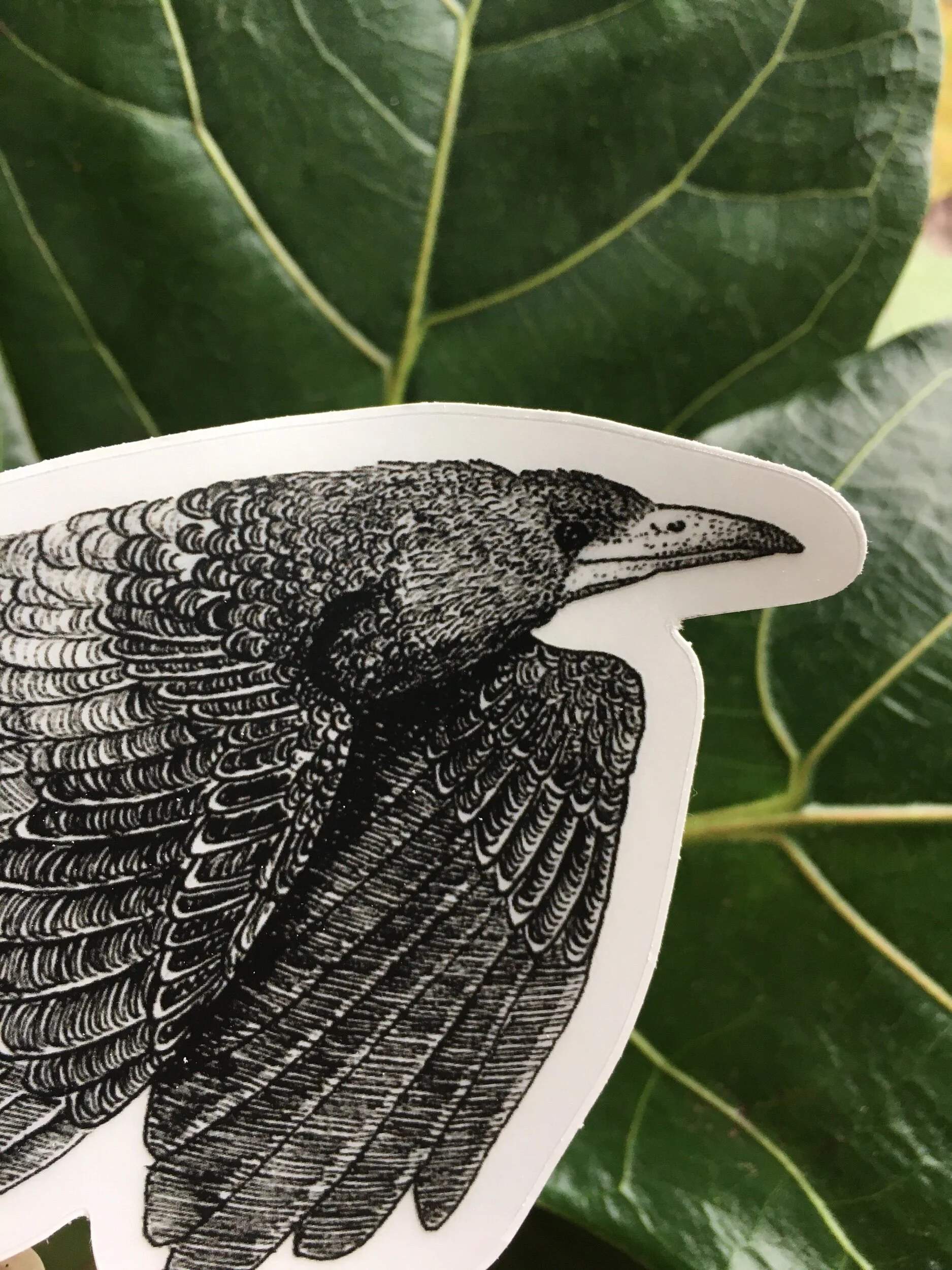 3C68E5C2-378E-4D75-98F8-51FF21F26852