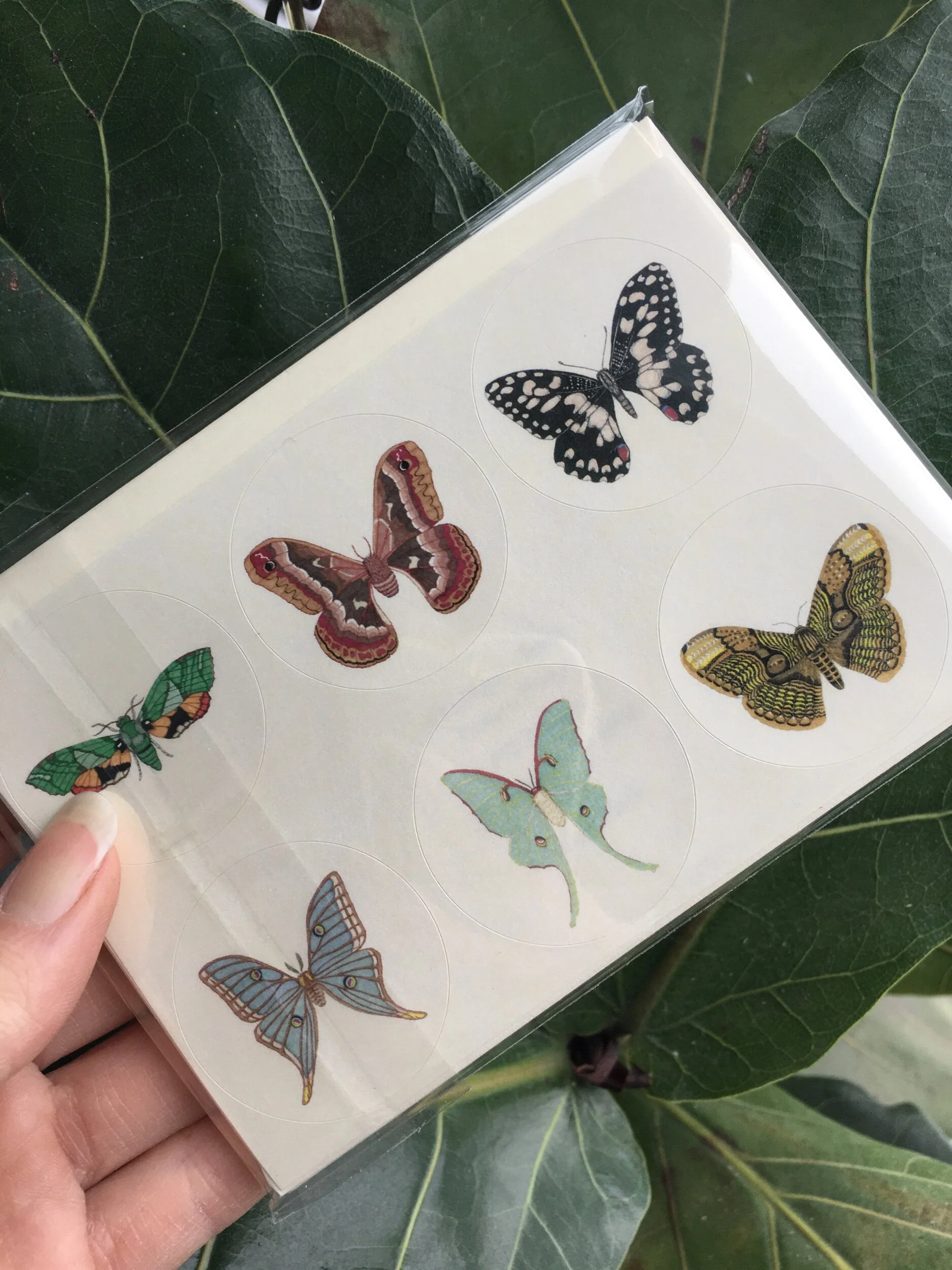 59FD7203-4245-4267-8D6E-414409337563