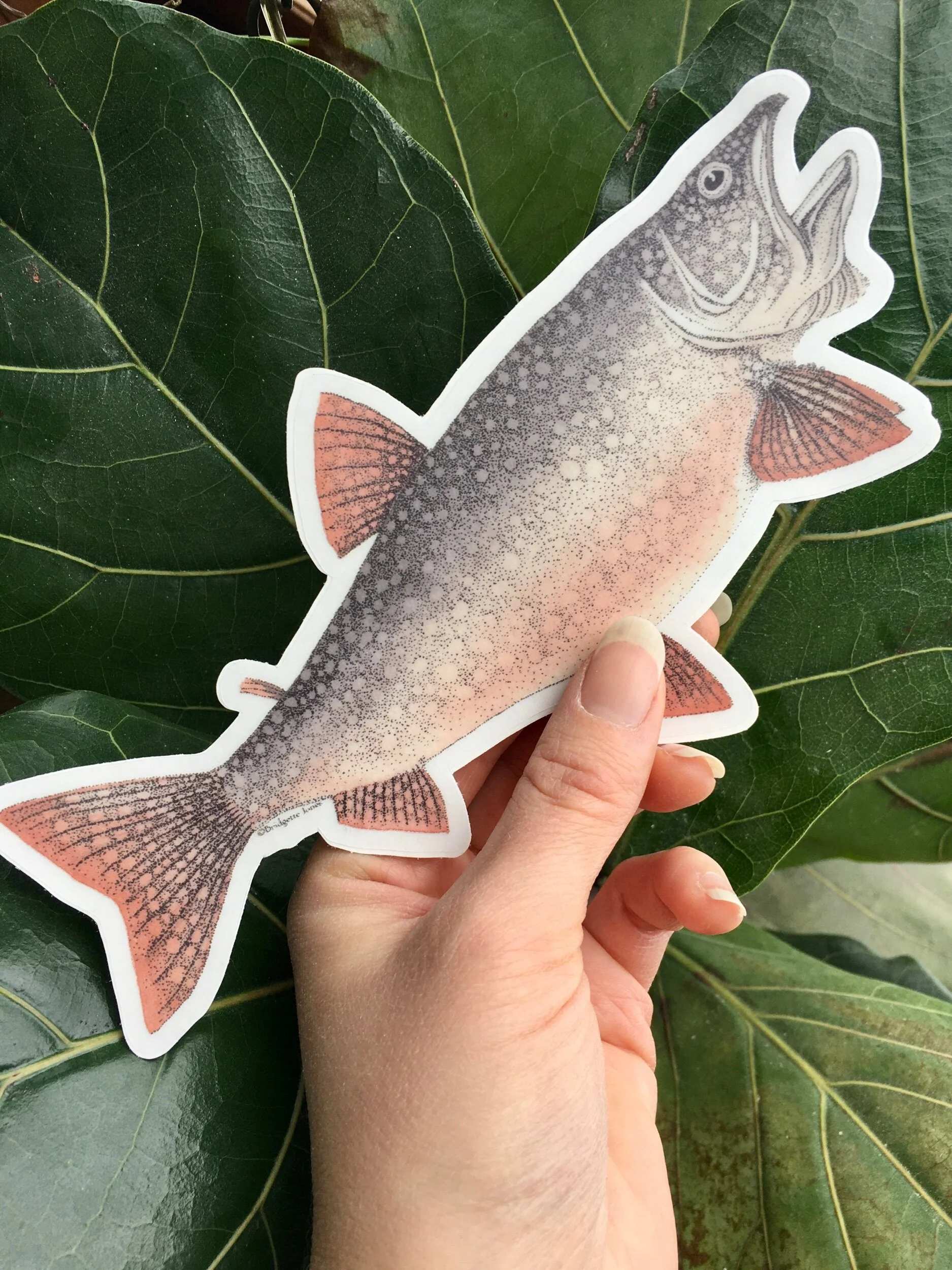 EA4187DA-4474-4EAC-A5CC-0F352AF6C1CC