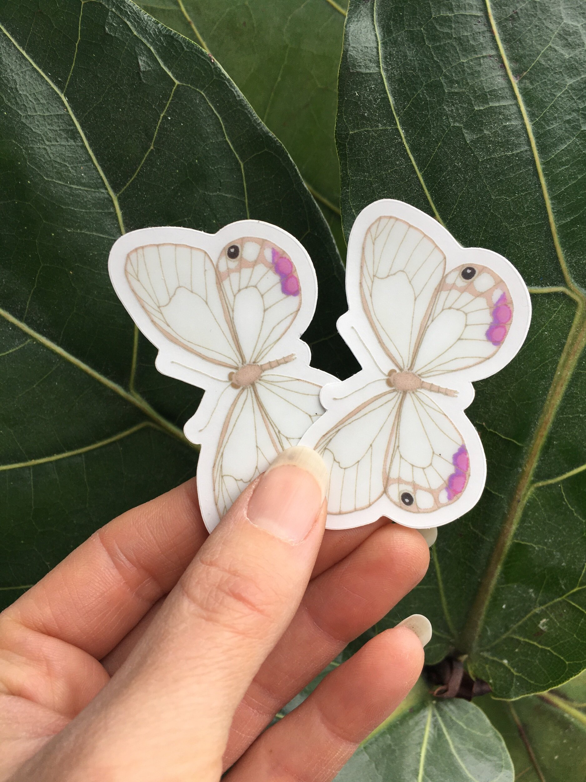 22A6BF5D-447E-46D0-A602-5804B5F72F80