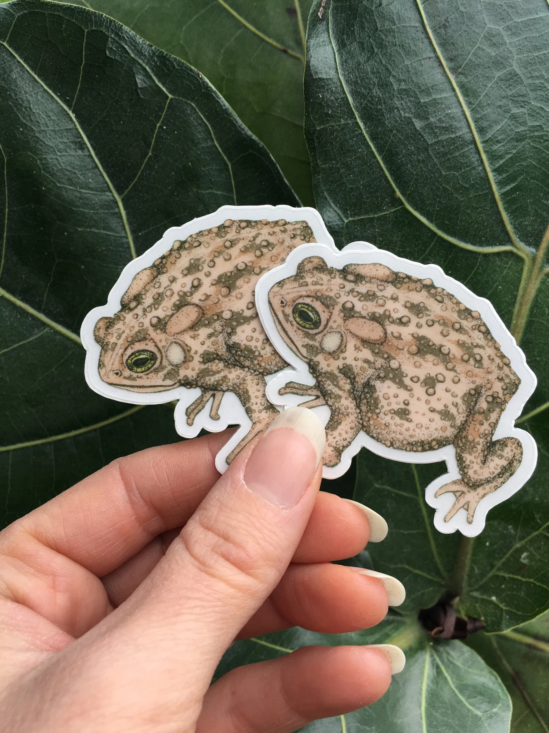 E196260C-4F78-4A3A-8062-8C421D000B1A