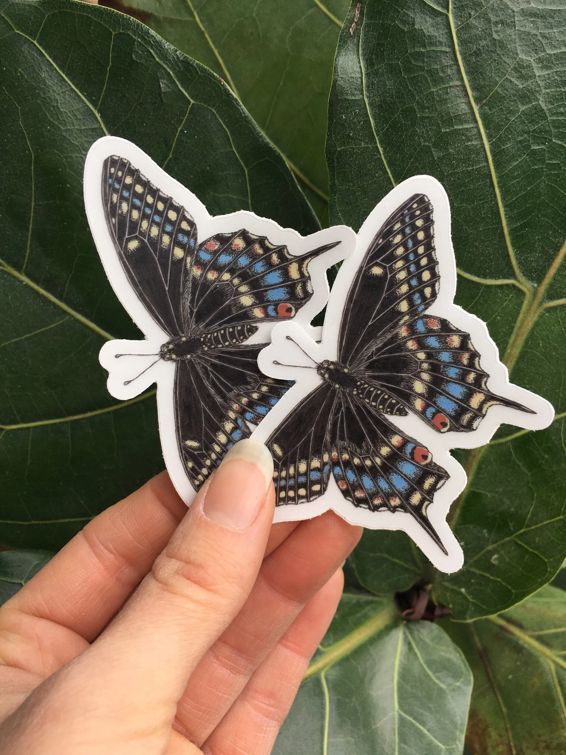 41854999-A926-4E3C-B7E2-ED4A6F95D387