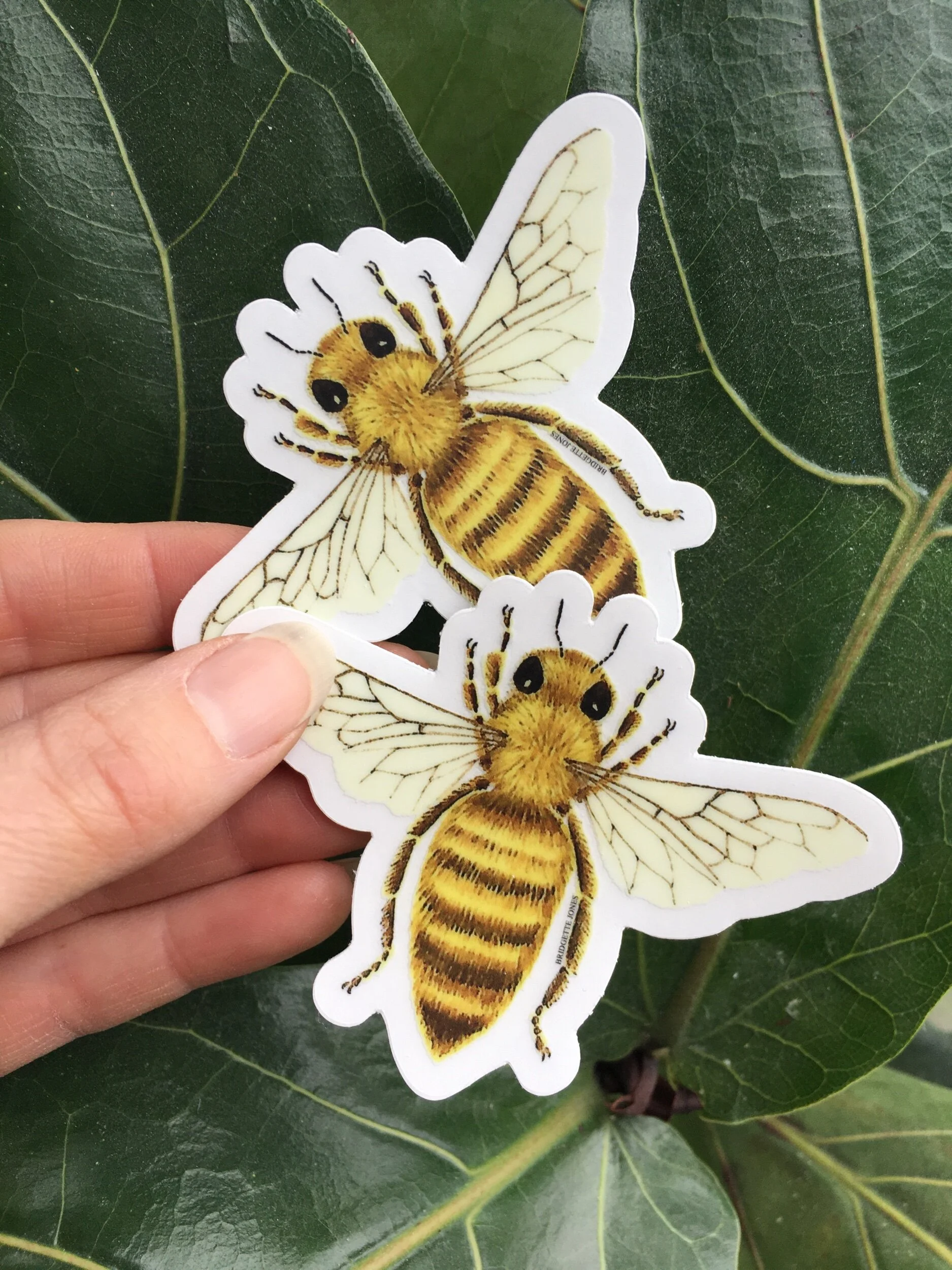 A318B930-0ED2-49C7-9B62-189C5A0C1299