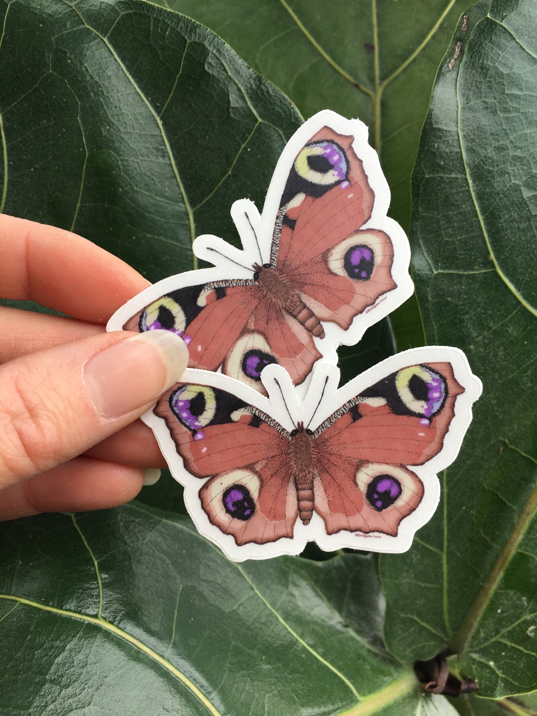 2F3C04B9-D808-48C2-8FD5-A4EA1DAD3C61