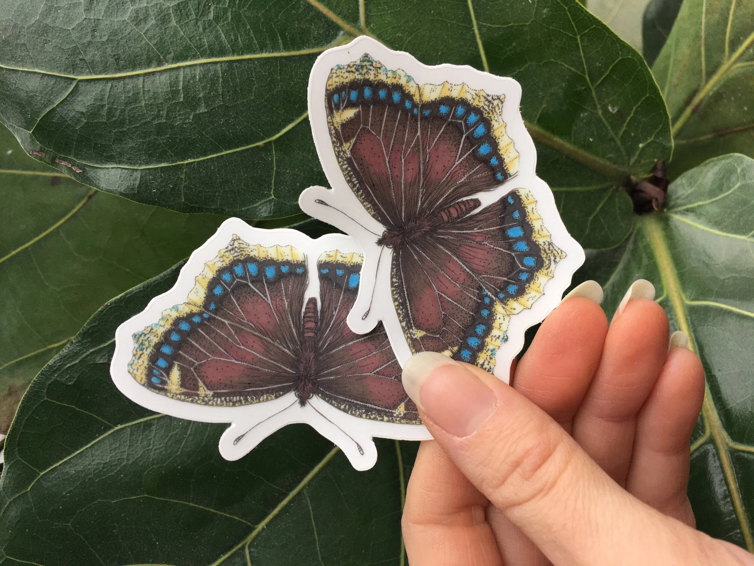 3088BCAA-EA96-4B90-82DD-9D2FD3D348B7