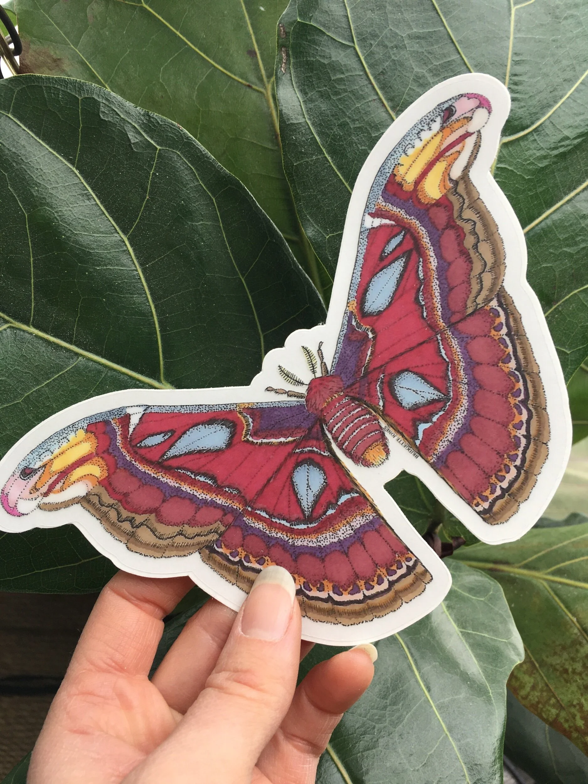 A4065D6B-10FA-43B2-8D8D-F54E1668F1A7