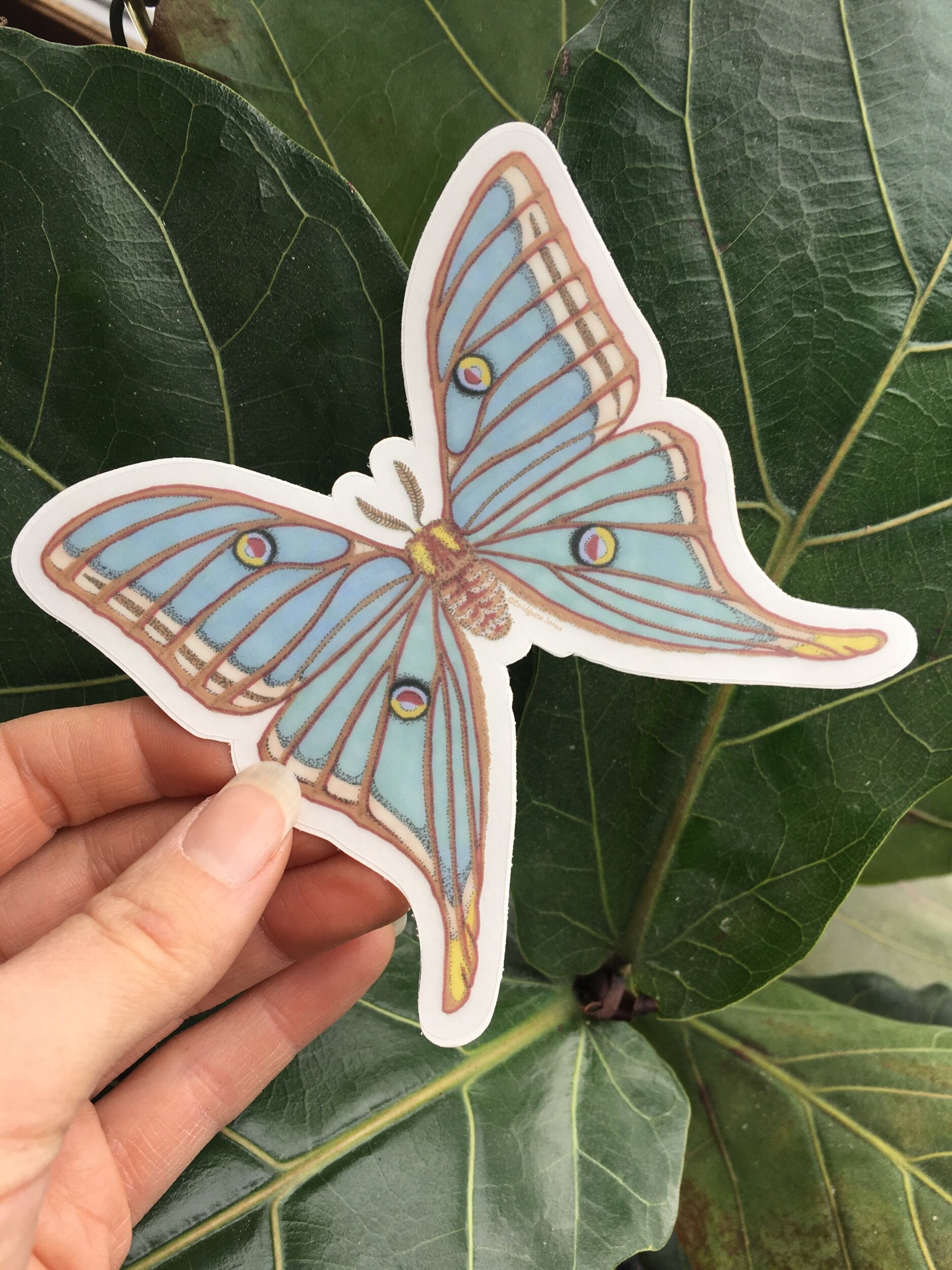 9151A44D-08BA-463C-BF13-EE893504B2BF