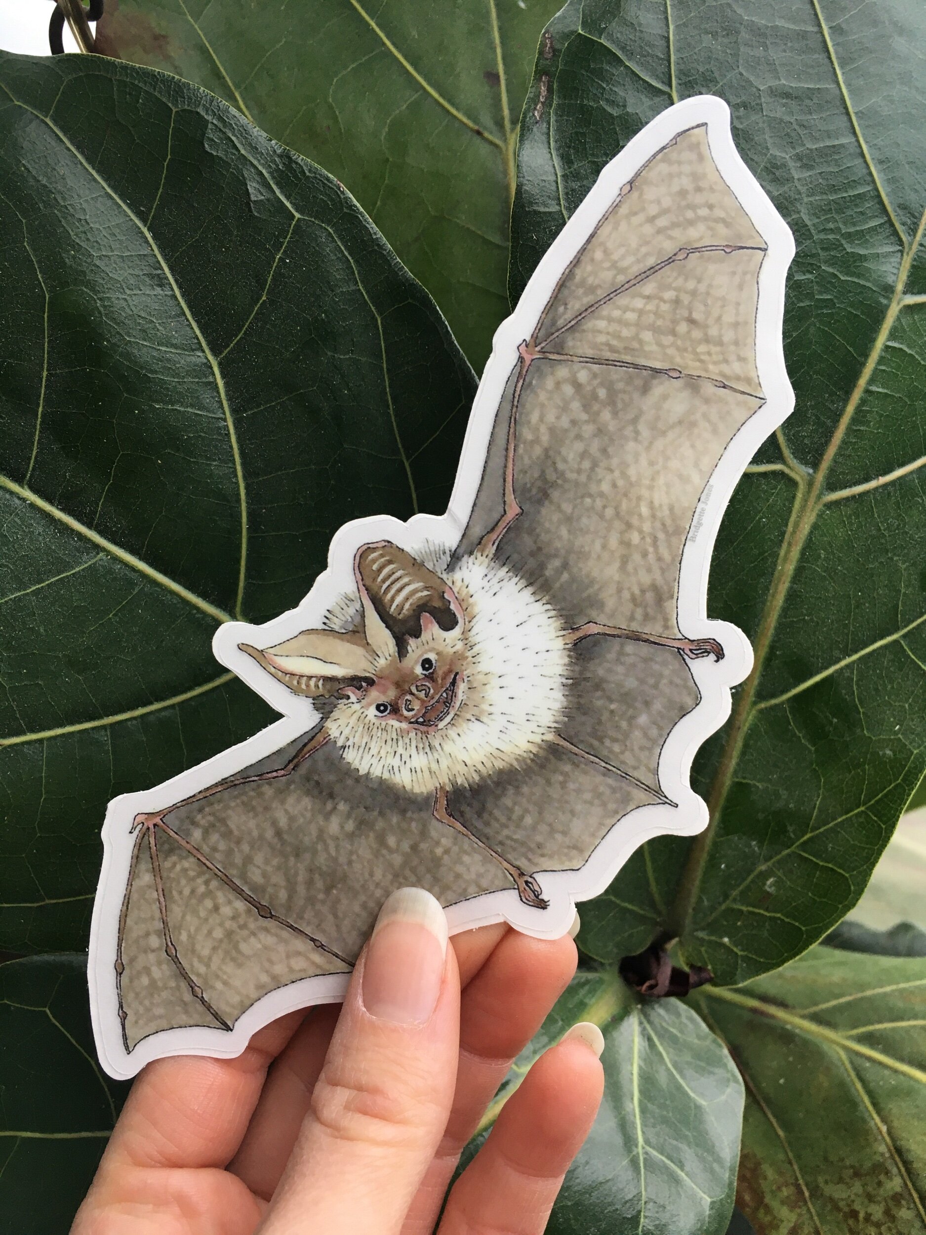 135A12EC-648E-4ACF-B44D-E4698F9E616F