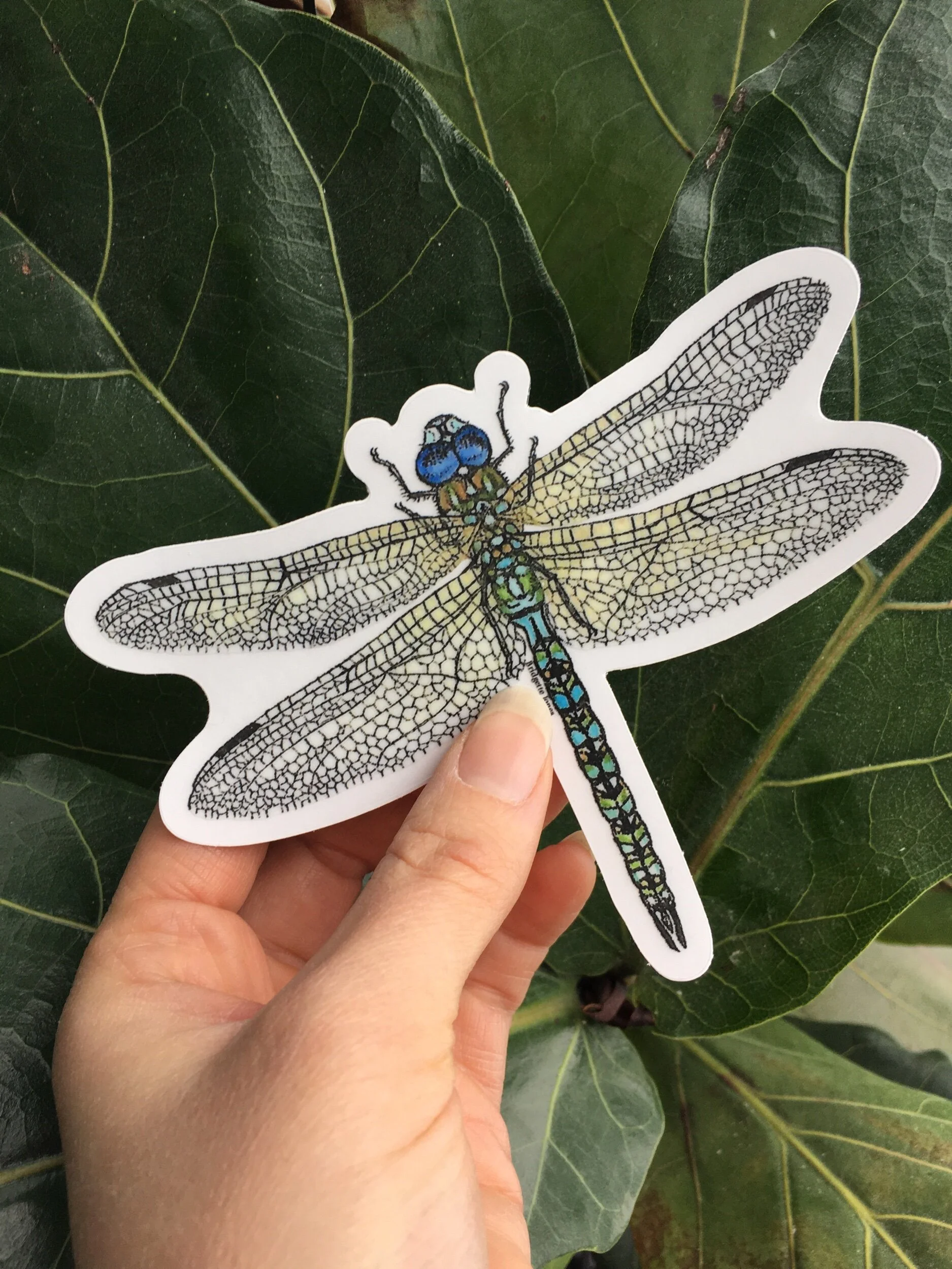 E1823C98-7260-49FA-993D-F94DE1146FB3