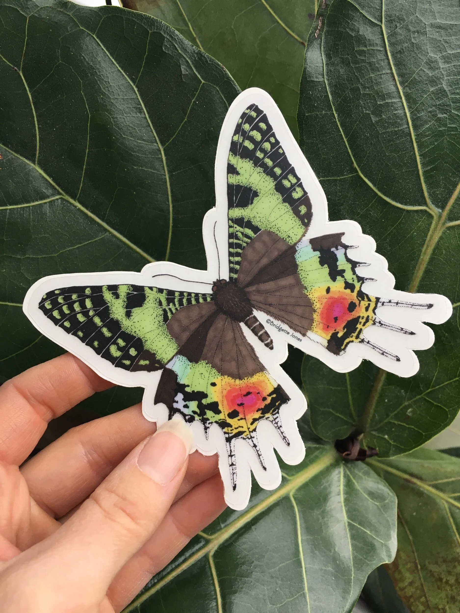 95C814D7-2D11-41AC-9075-ECE6087F29BF