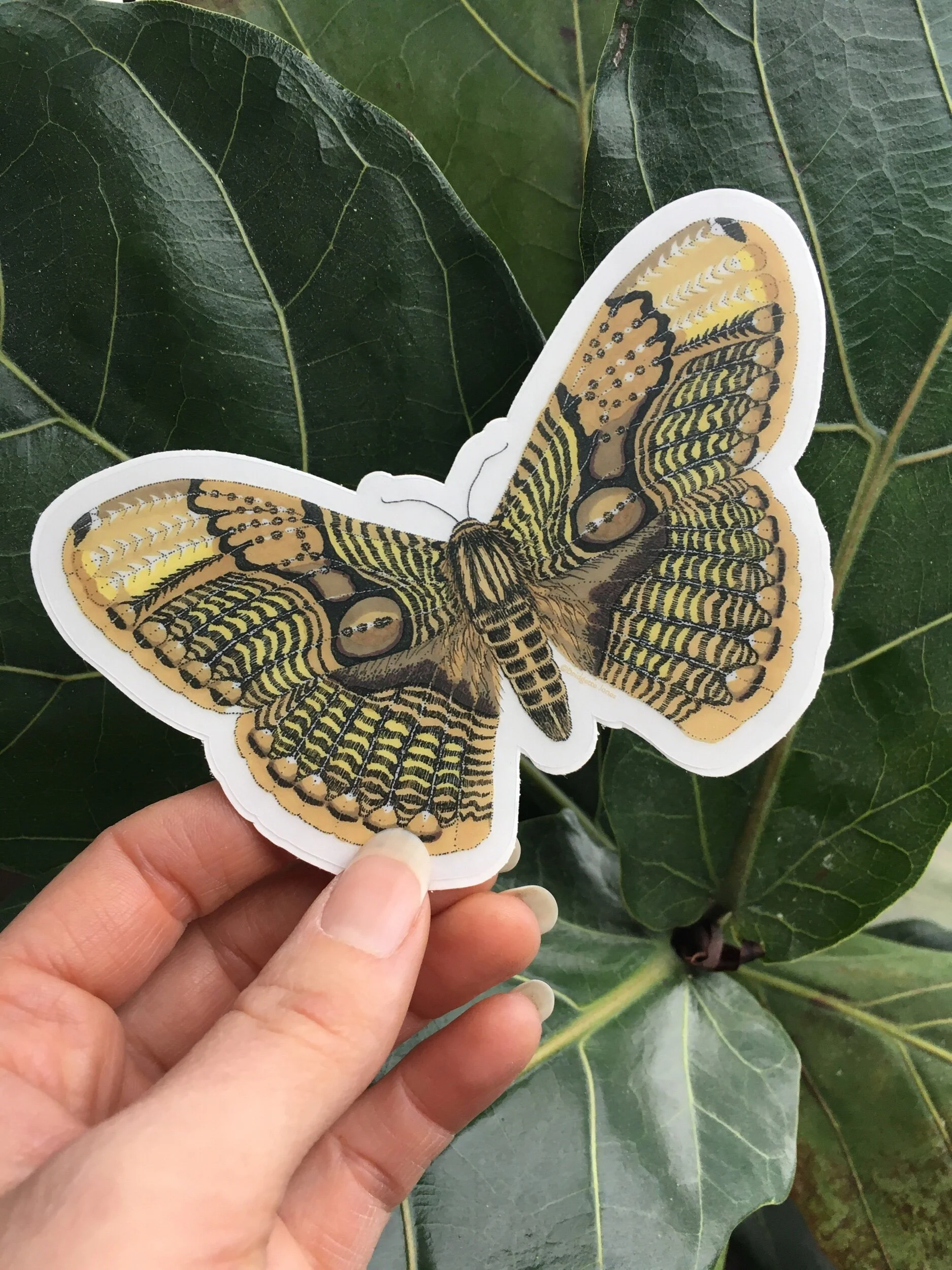 9C3B91F6-8C90-4094-B518-A29B8AC7EDF4