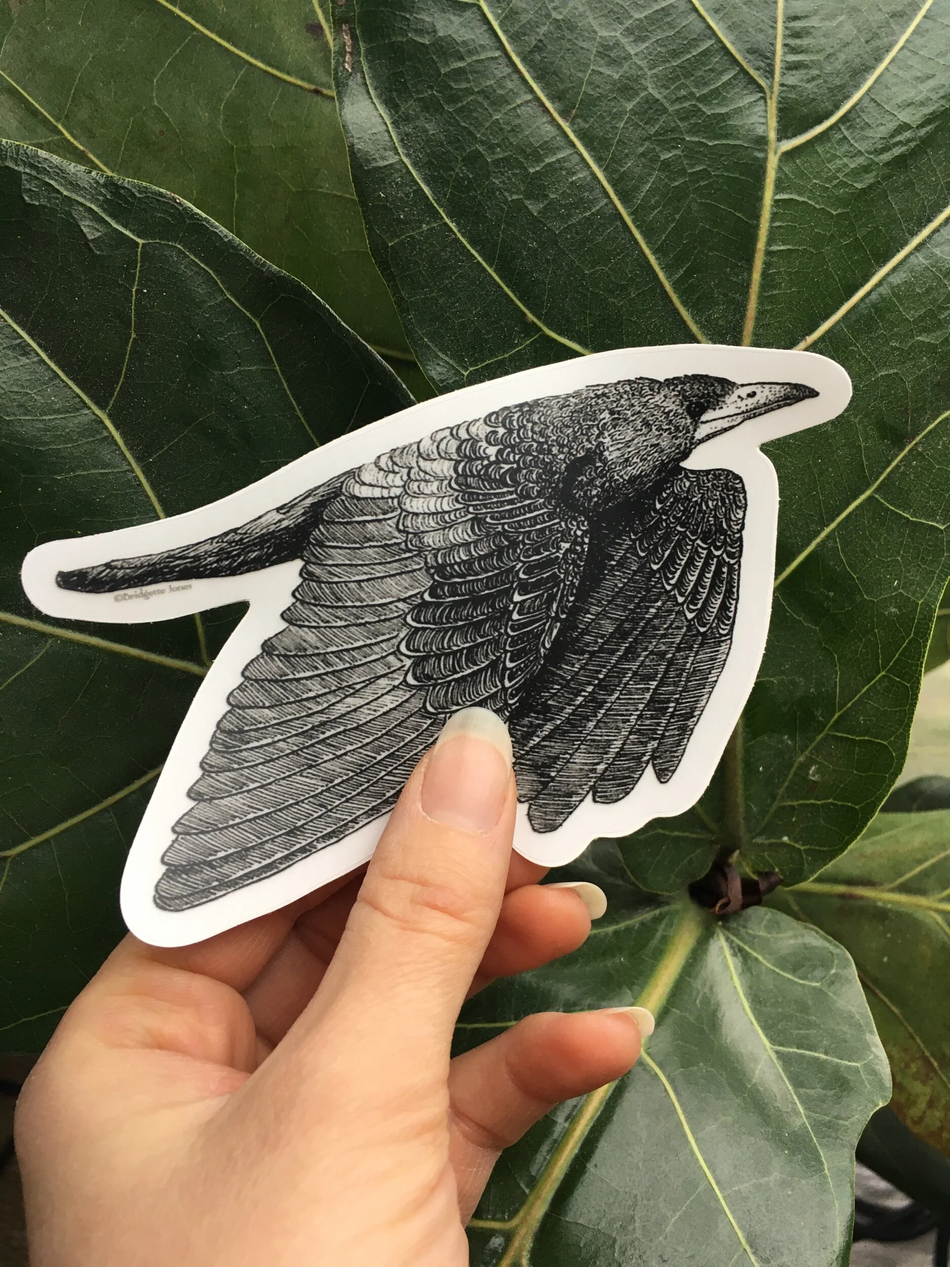 13BDDF61-7CE4-4654-BCA7-544772D3B3B0