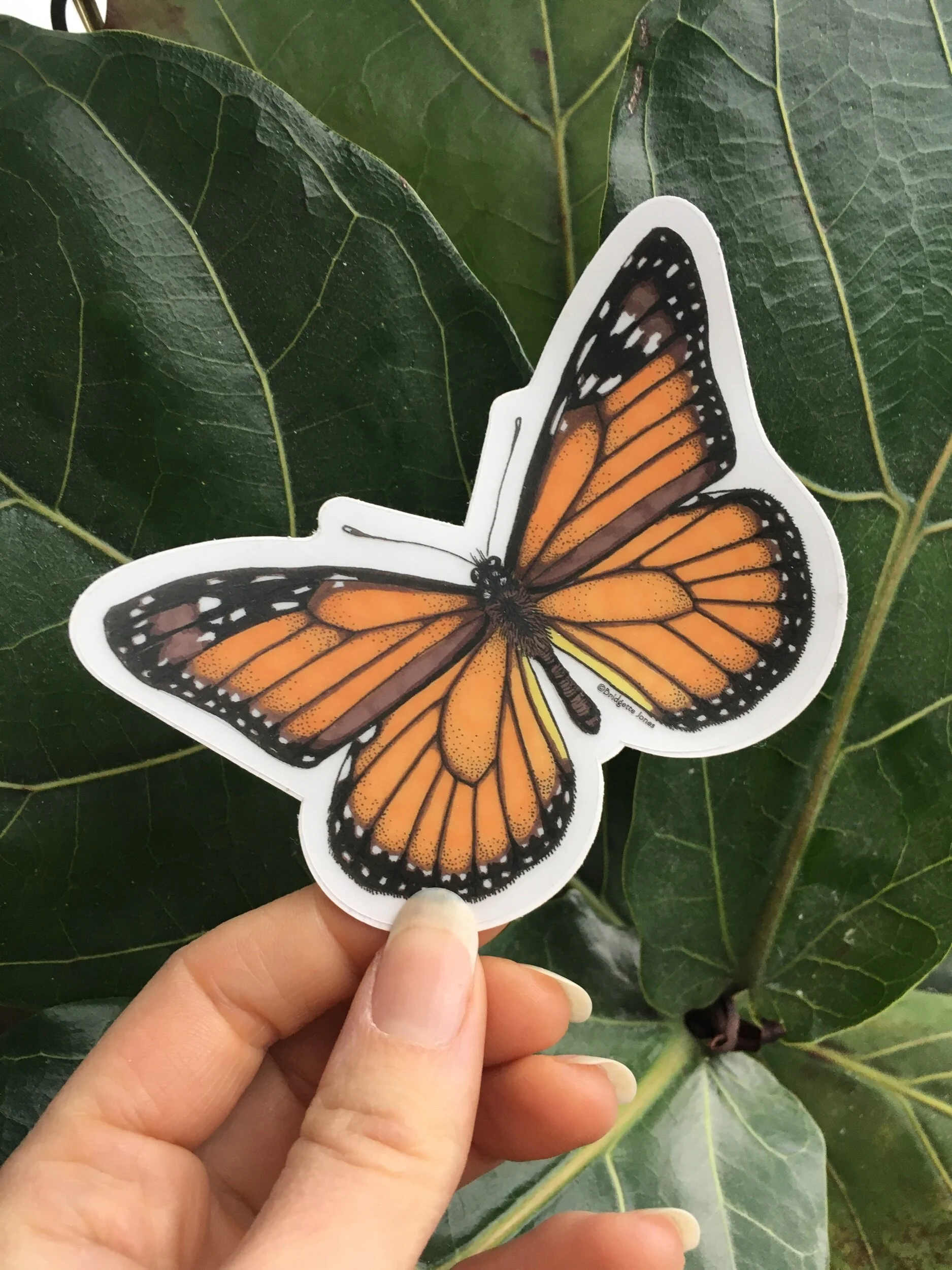 373A0F90-2AC0-46F1-A2C9-241DF6510F57