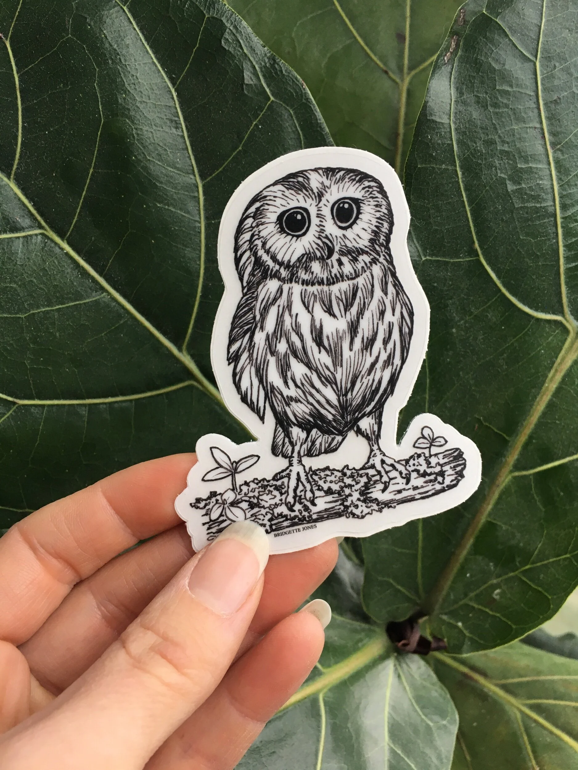 FD520EFE-254E-4B75-90C8-3790F65739D9